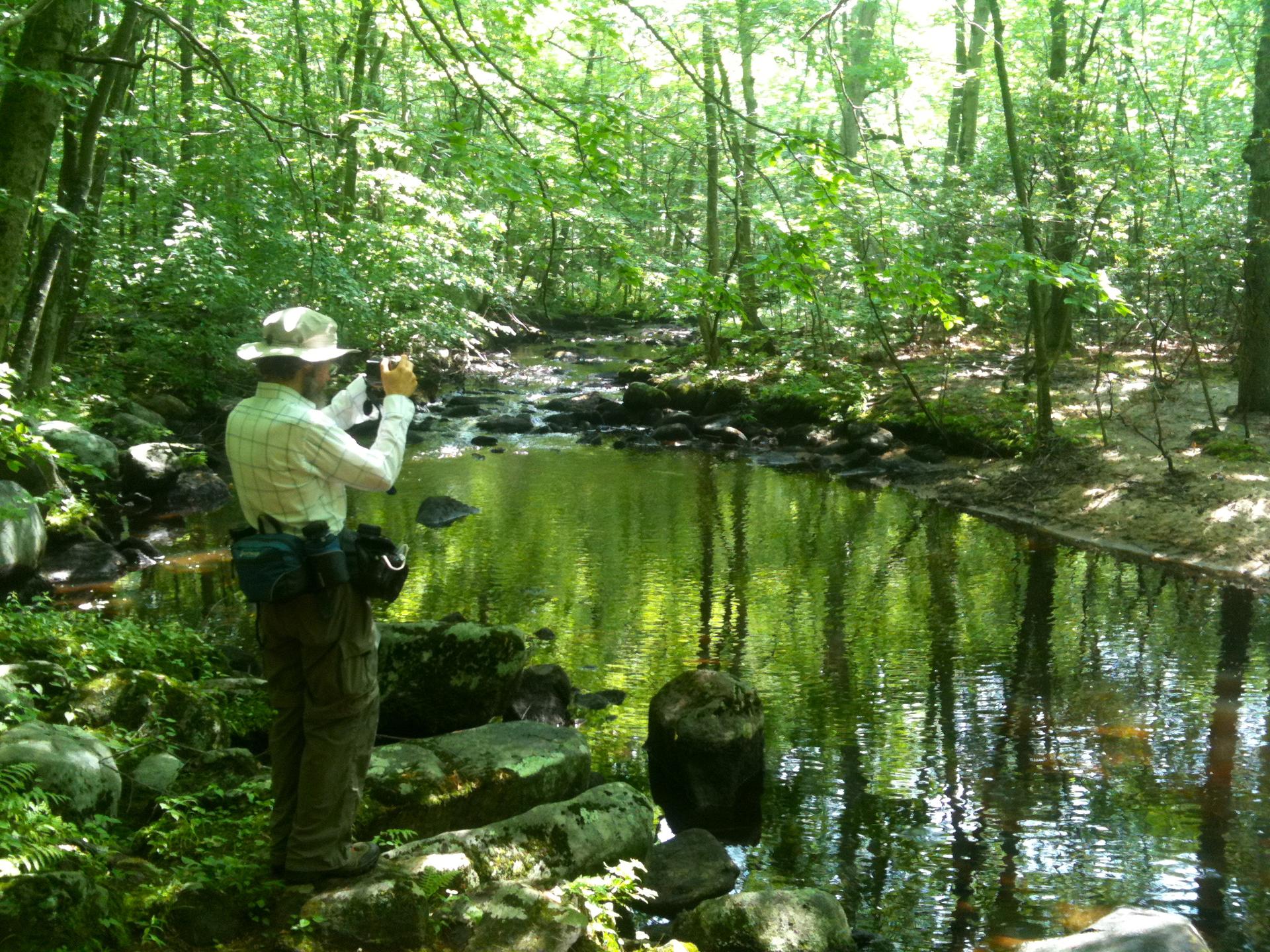 Person photographing a tranquil forest stream with dappled sunlight.