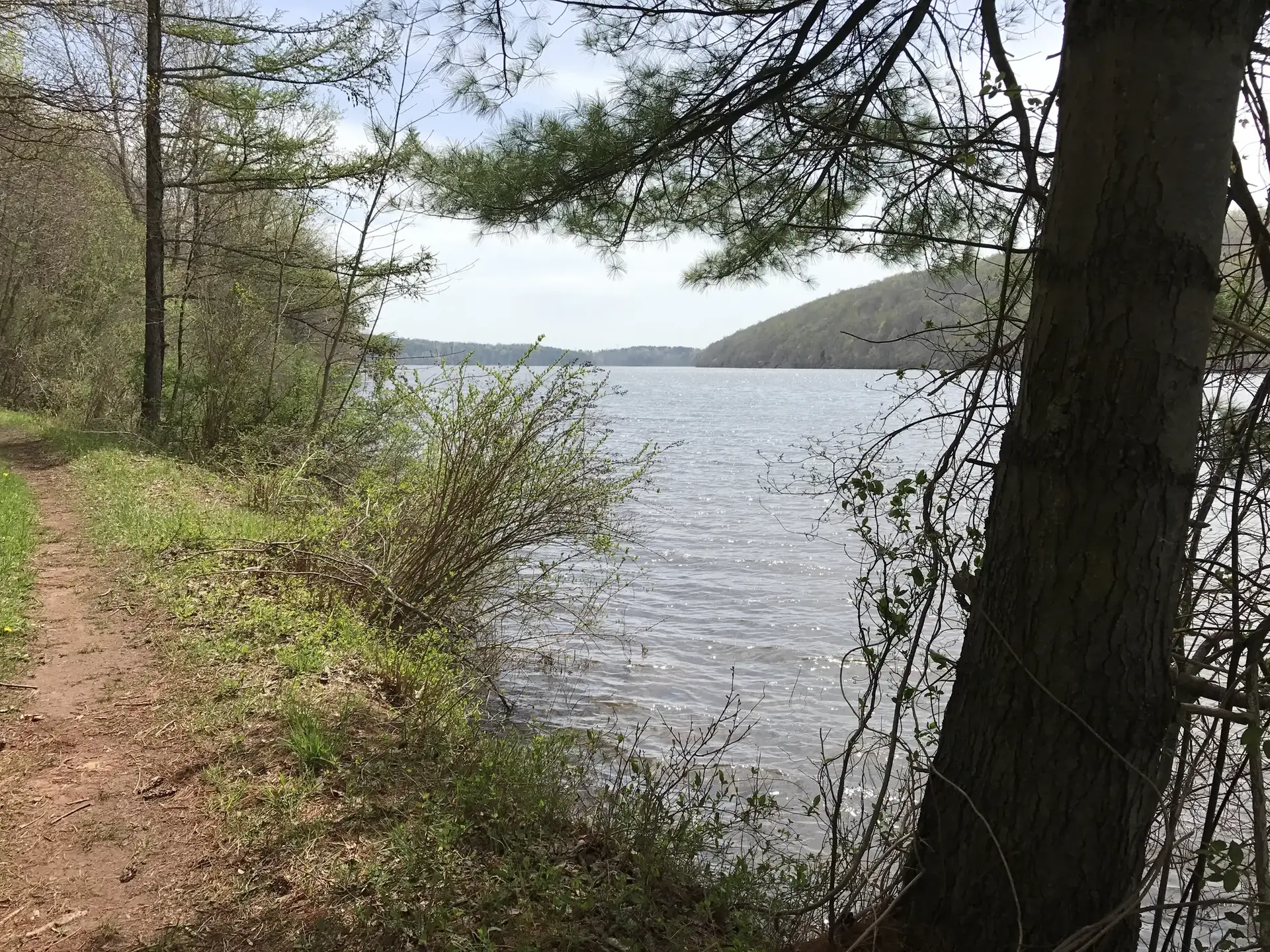 A dirt path winds along a sparkling lake with forested hills under a bright sky.