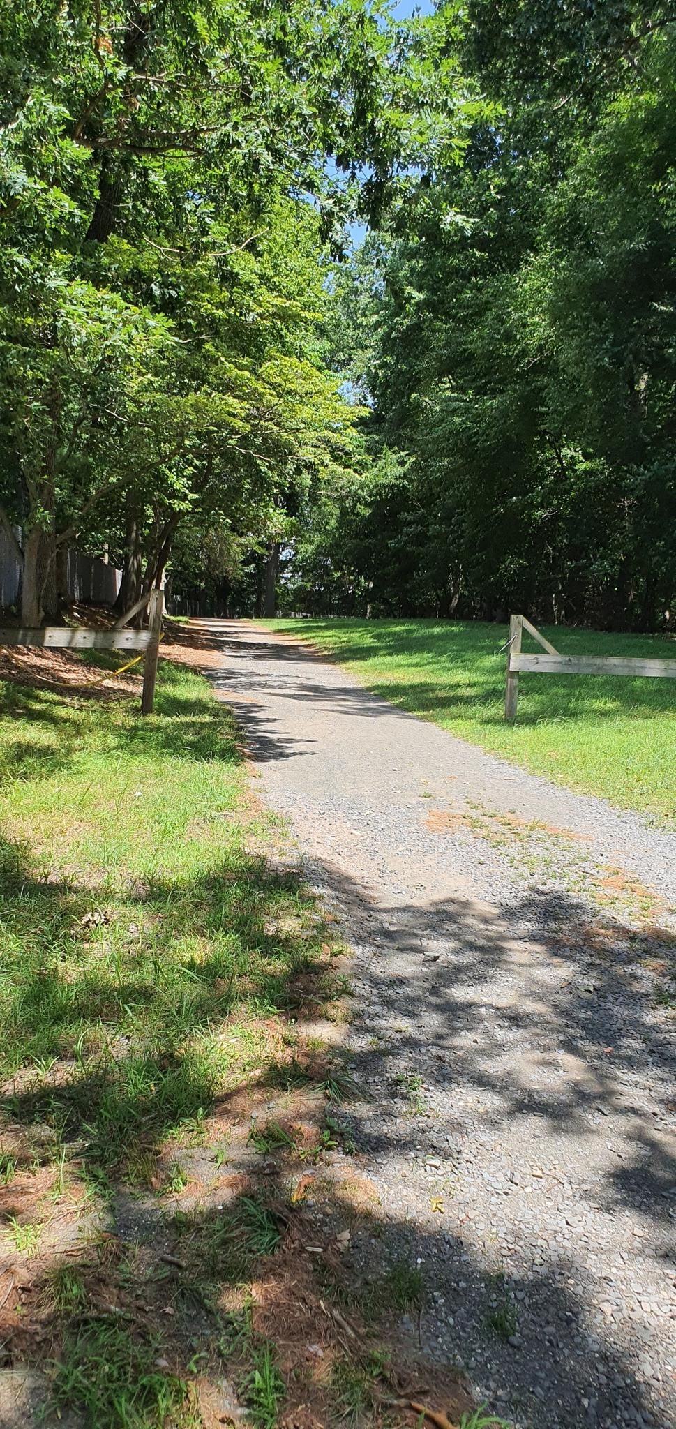 A sunlit gravel path winding through green grass and tall trees. - Oradell Reservoir Lake Shore Drive Trail