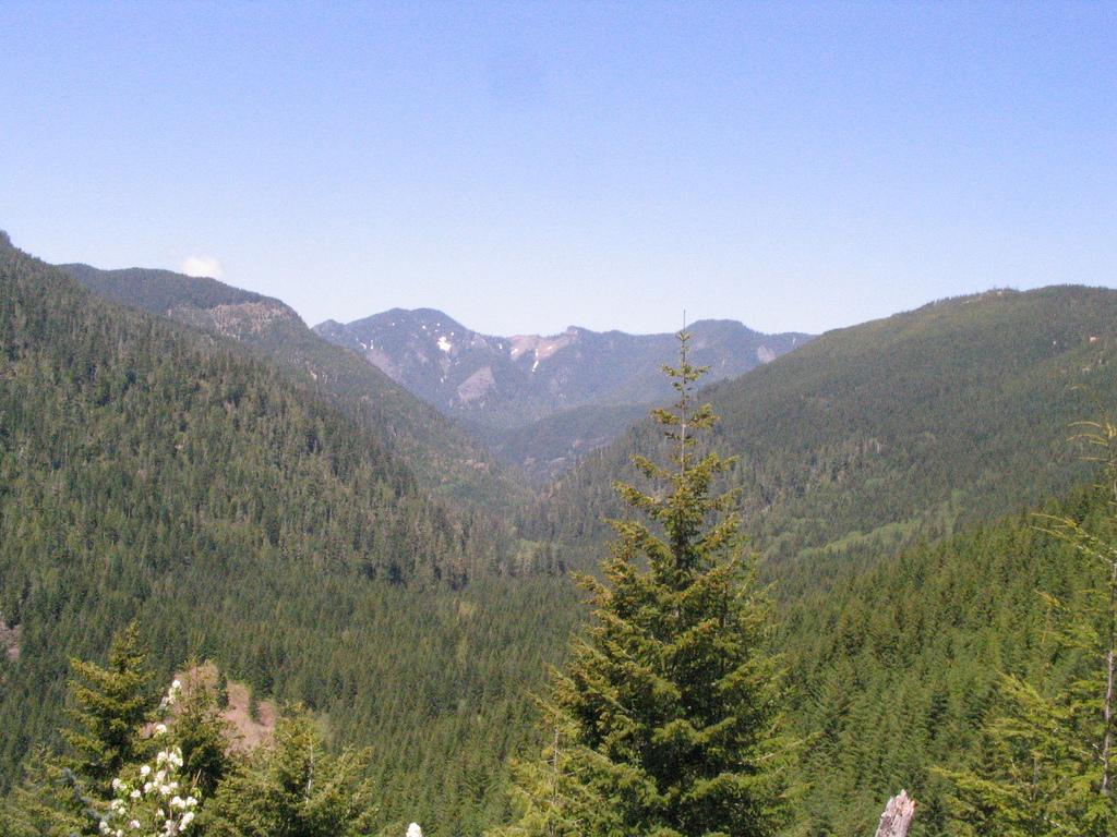Vast forested mountains and a valley under a clear blue sky.