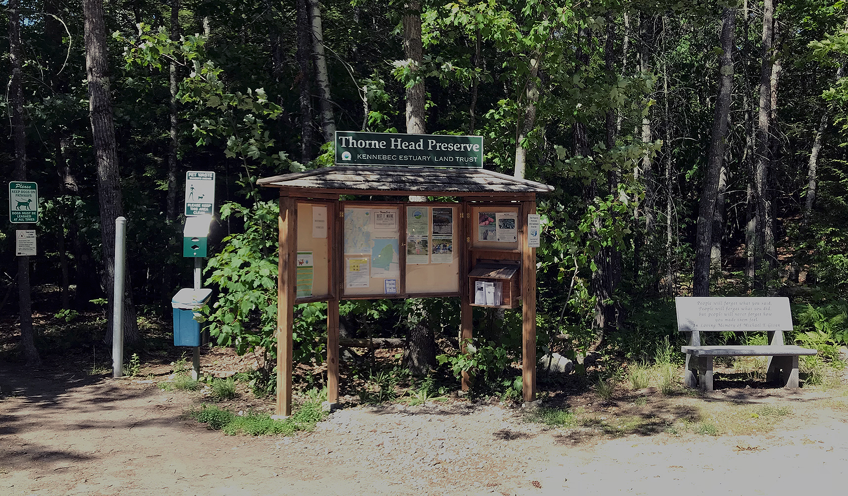 Sunny forest entrance with an information kiosk, dog station, and stone bench.