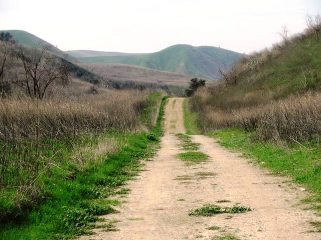 Dirt road winding through dry grassy hills under a bright sky.