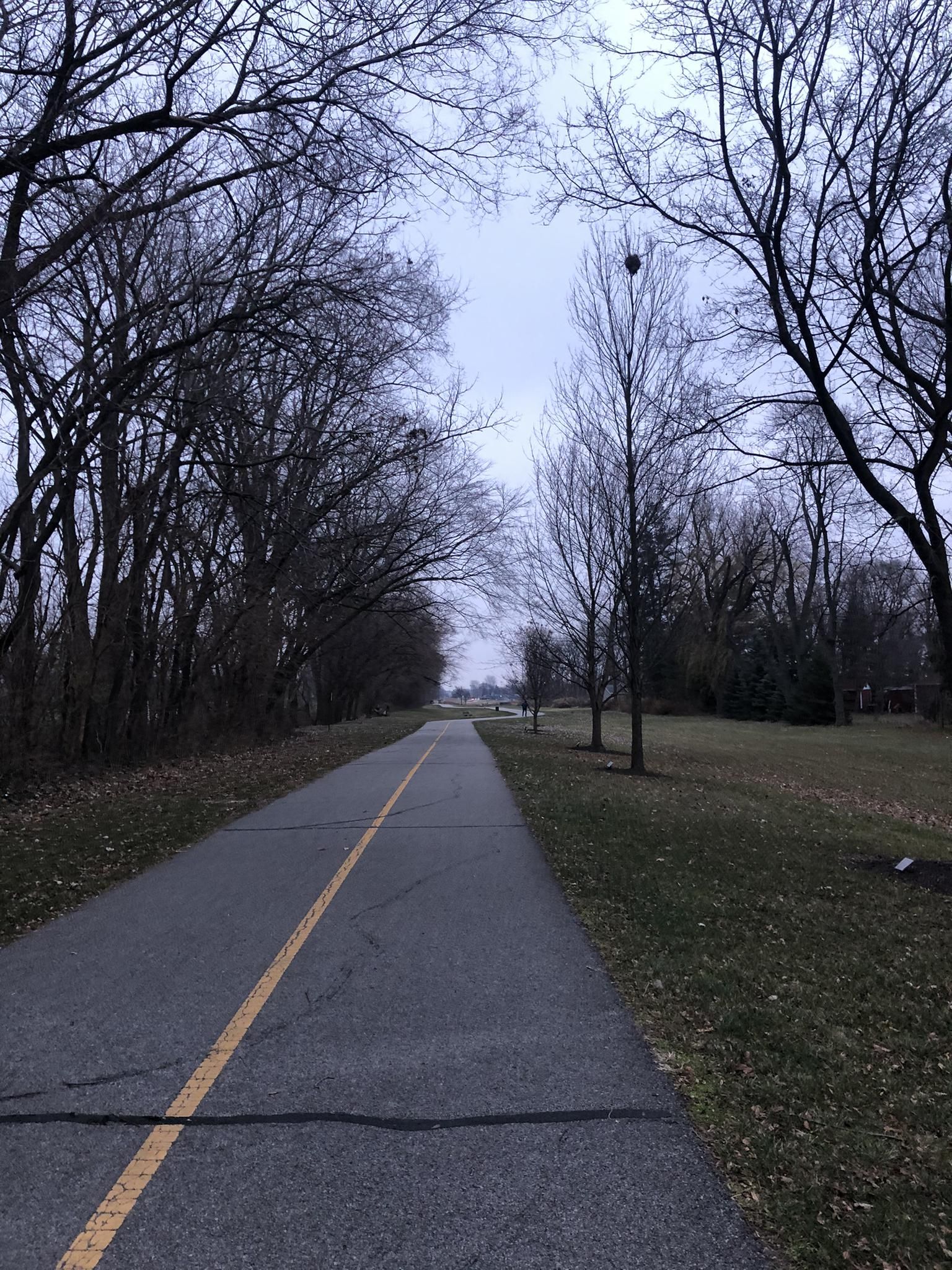 A paved path stretches through bare winter trees under an overcast sky. - Pennsy Greenway – Pennsy Greenway loop from Dyer