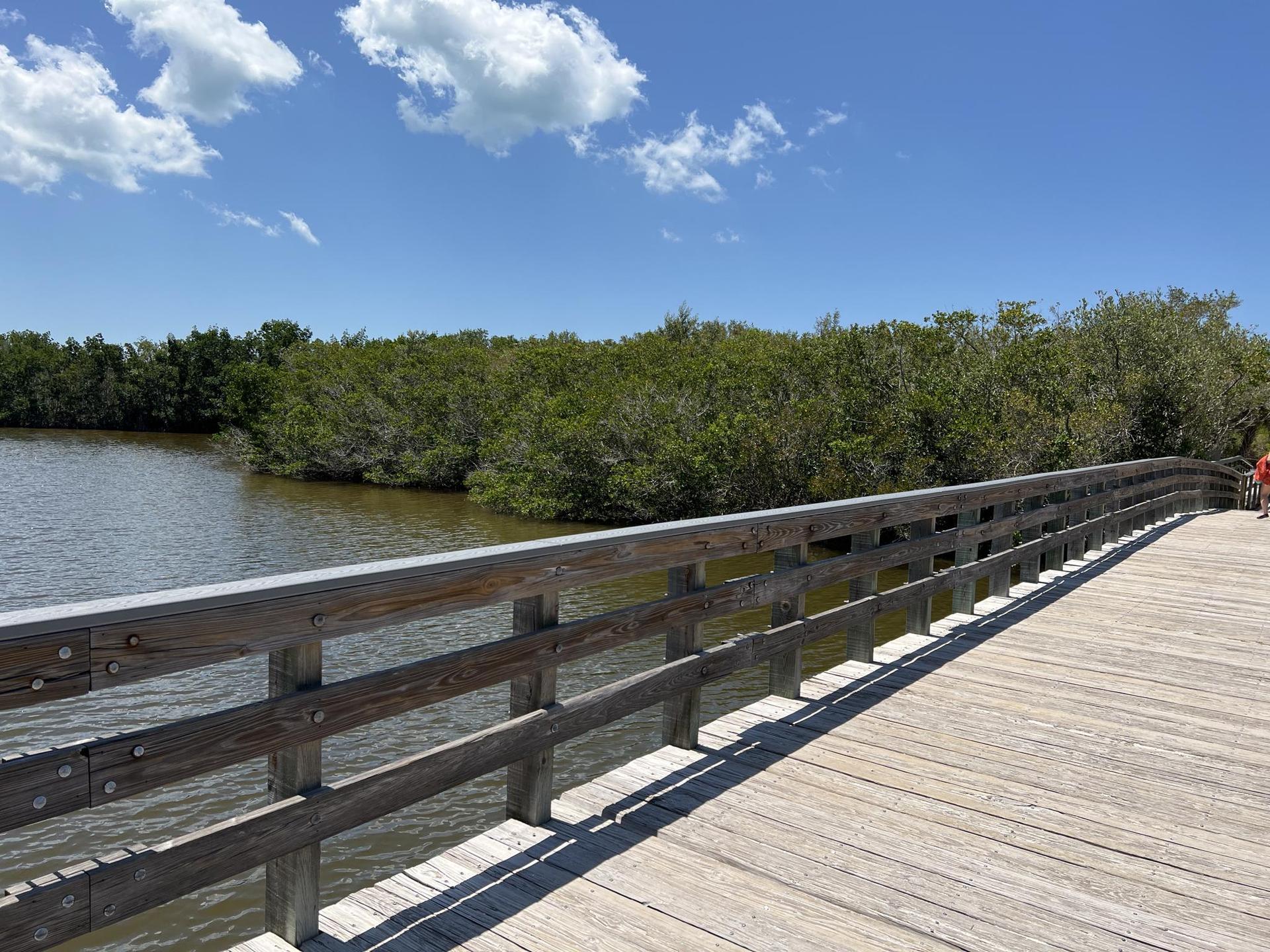 Wooden boardwalk railing beside water and green trees on a sunny day.
