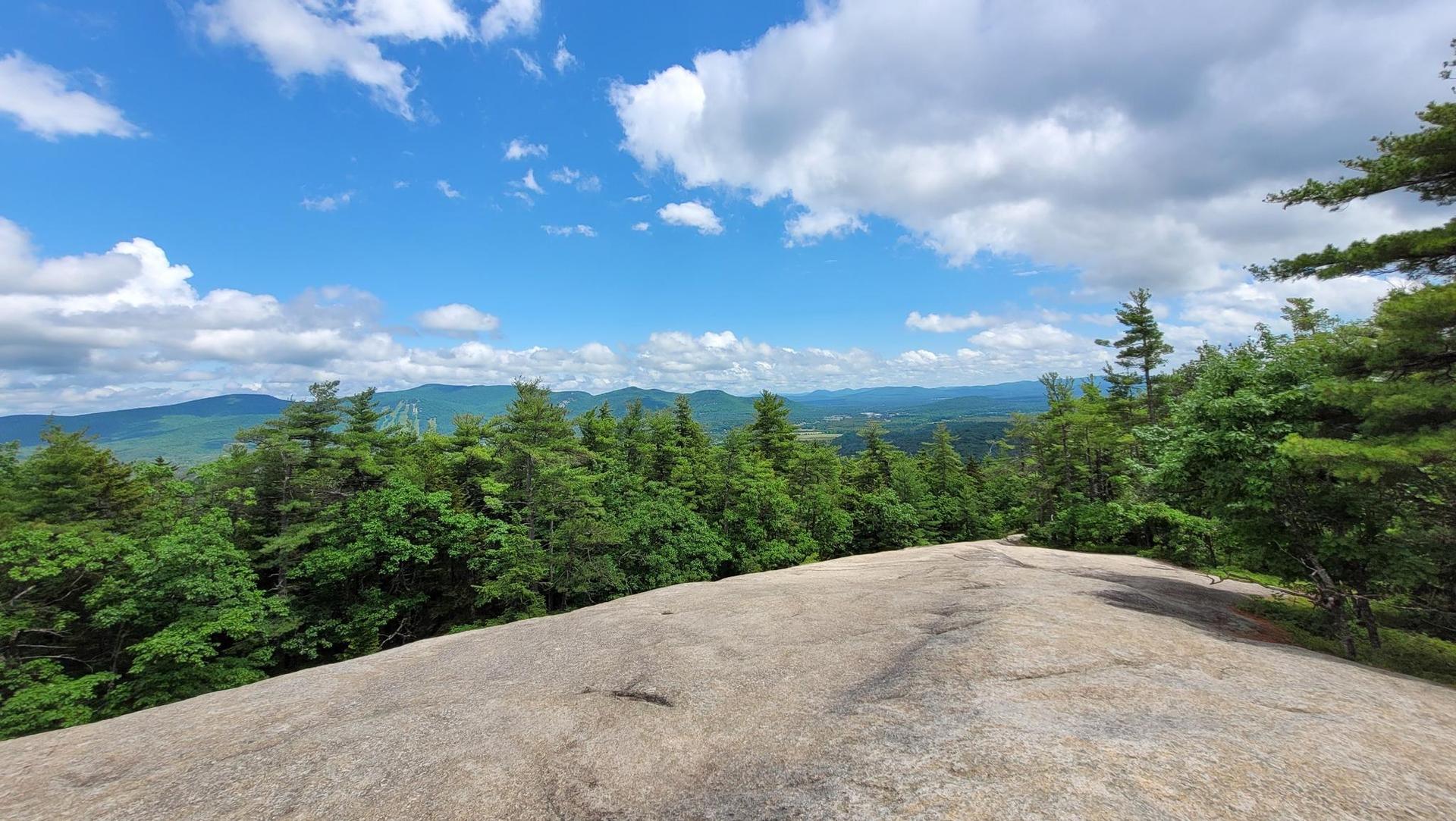 Rocky outcrop overlooking a vast green forest and distant mountains under a blue sky.