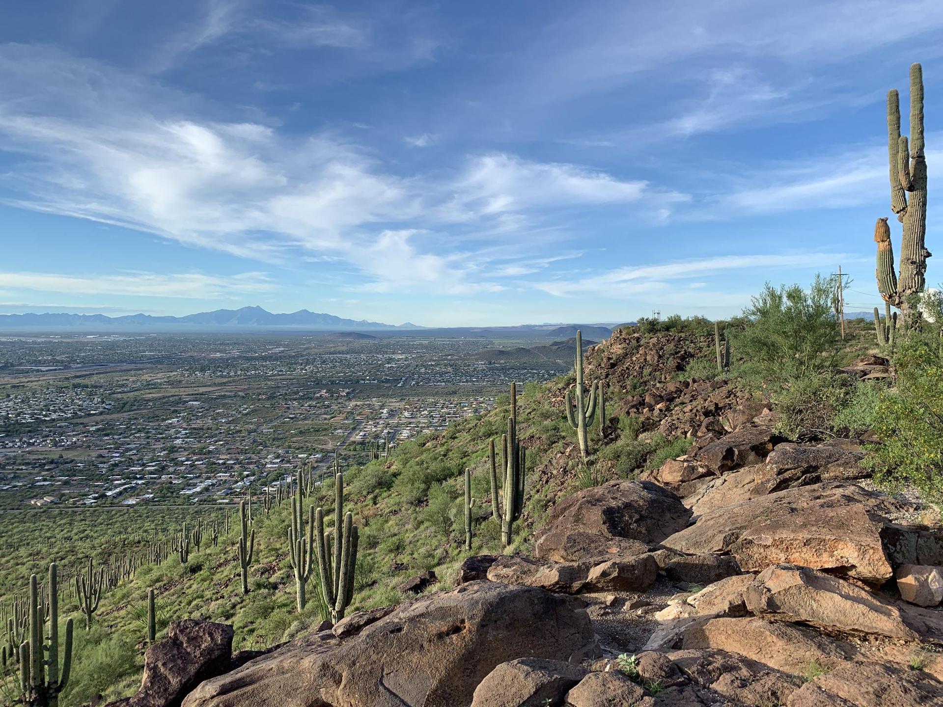 Panoramic view of a city and distant mountains from a rocky, cactus-covered desert hillside.