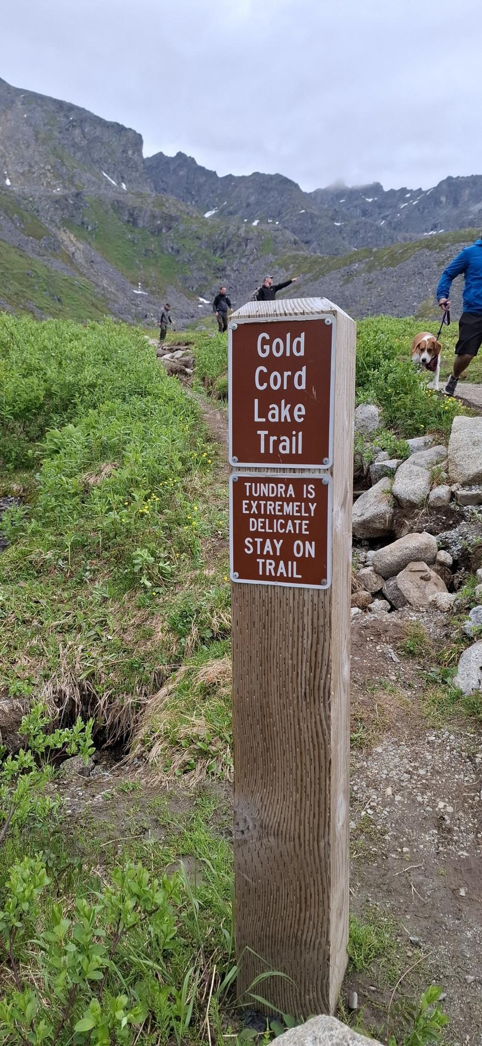 Wooden trail sign on a grassy path with people hiking in the background.