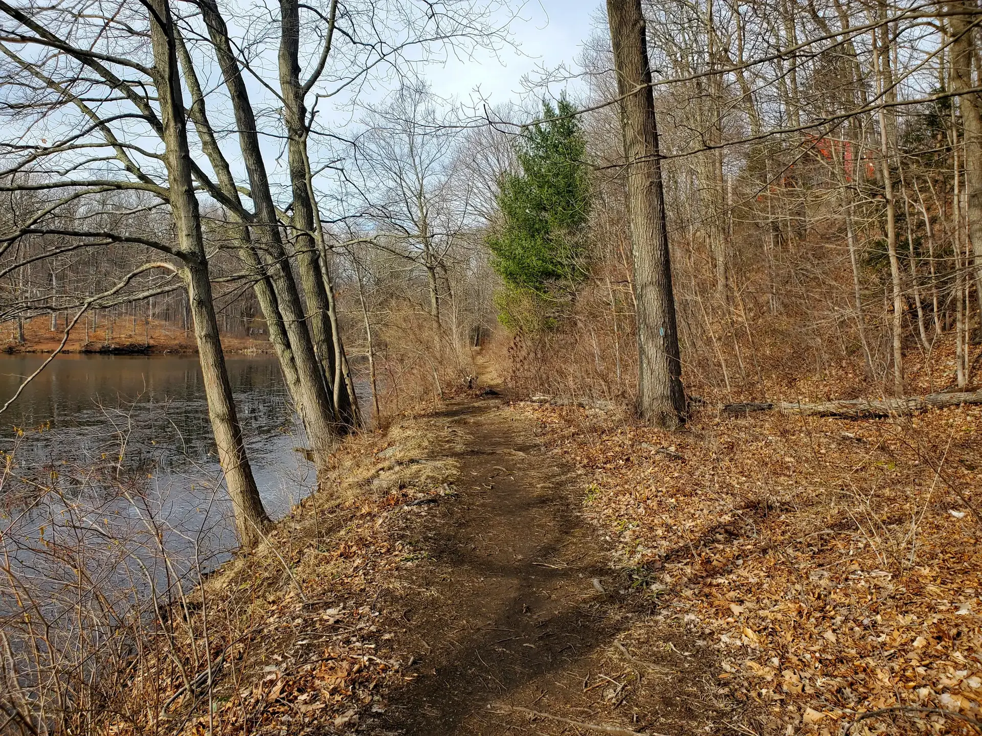 A dirt path alongside a calm body of water, surrounded by bare trees and fallen leaves.