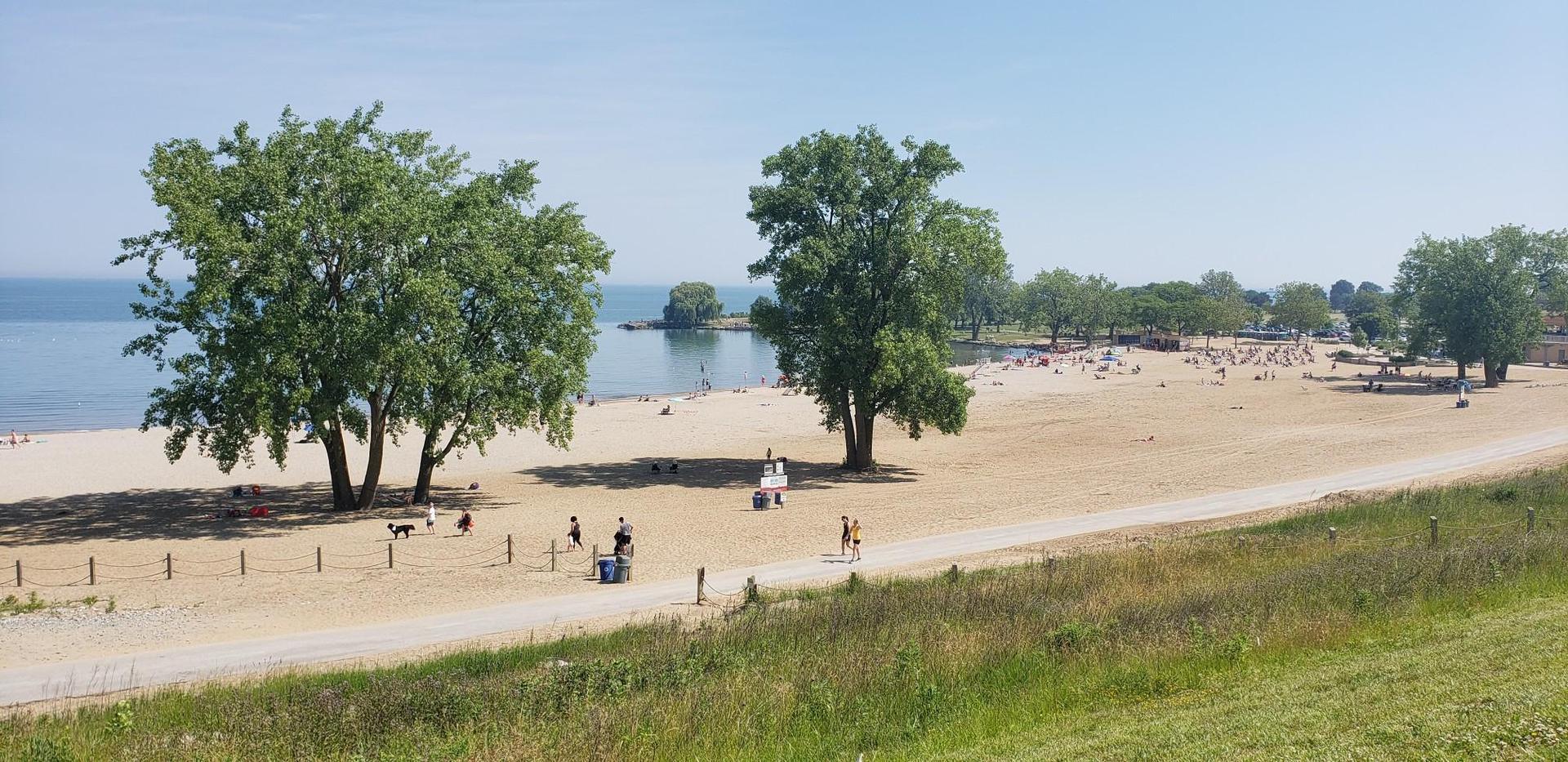 Sunny beach with many people, large trees, and calm water under a blue sky.