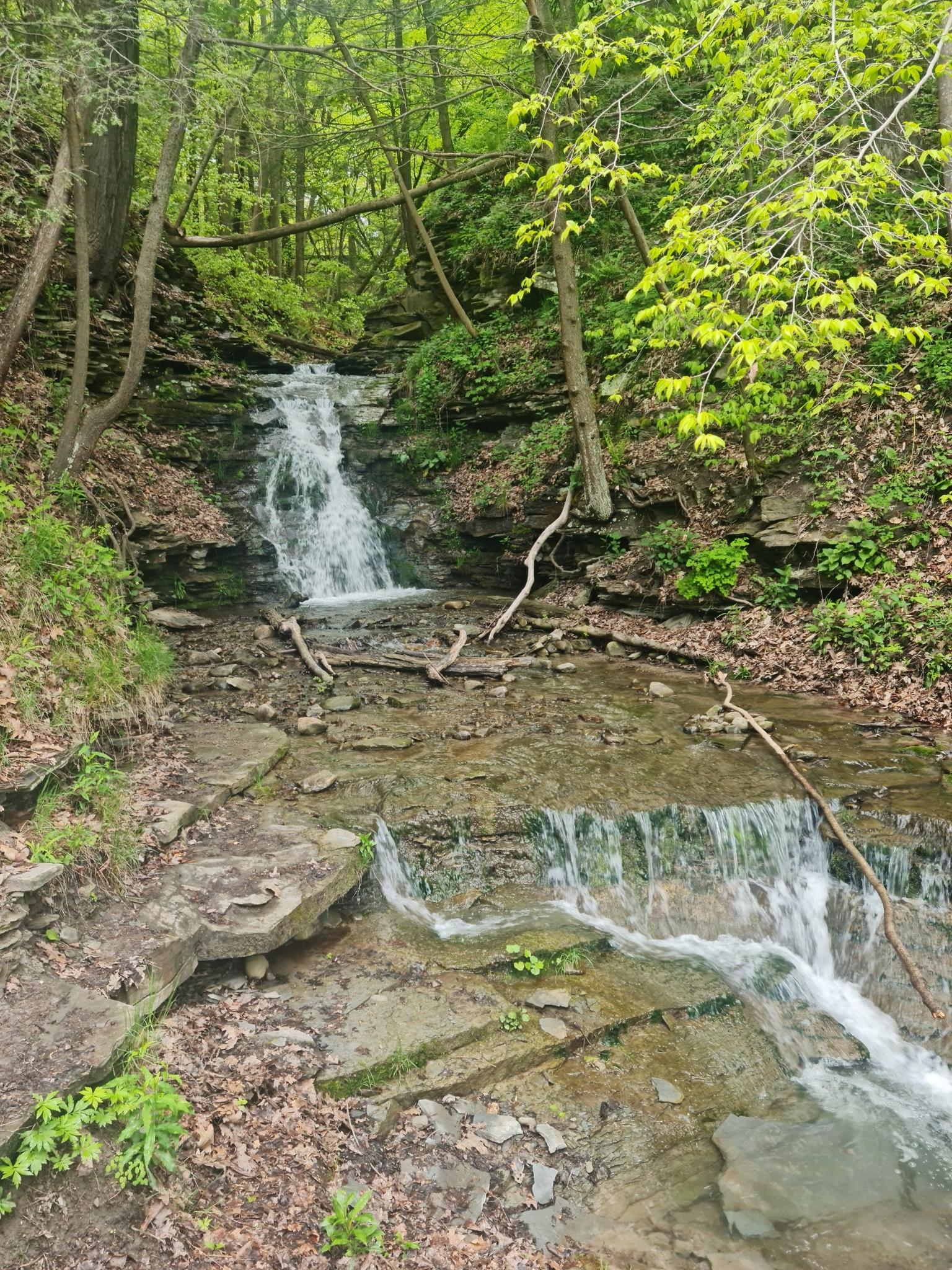Small waterfall cascading over rocks in a lush green forest.