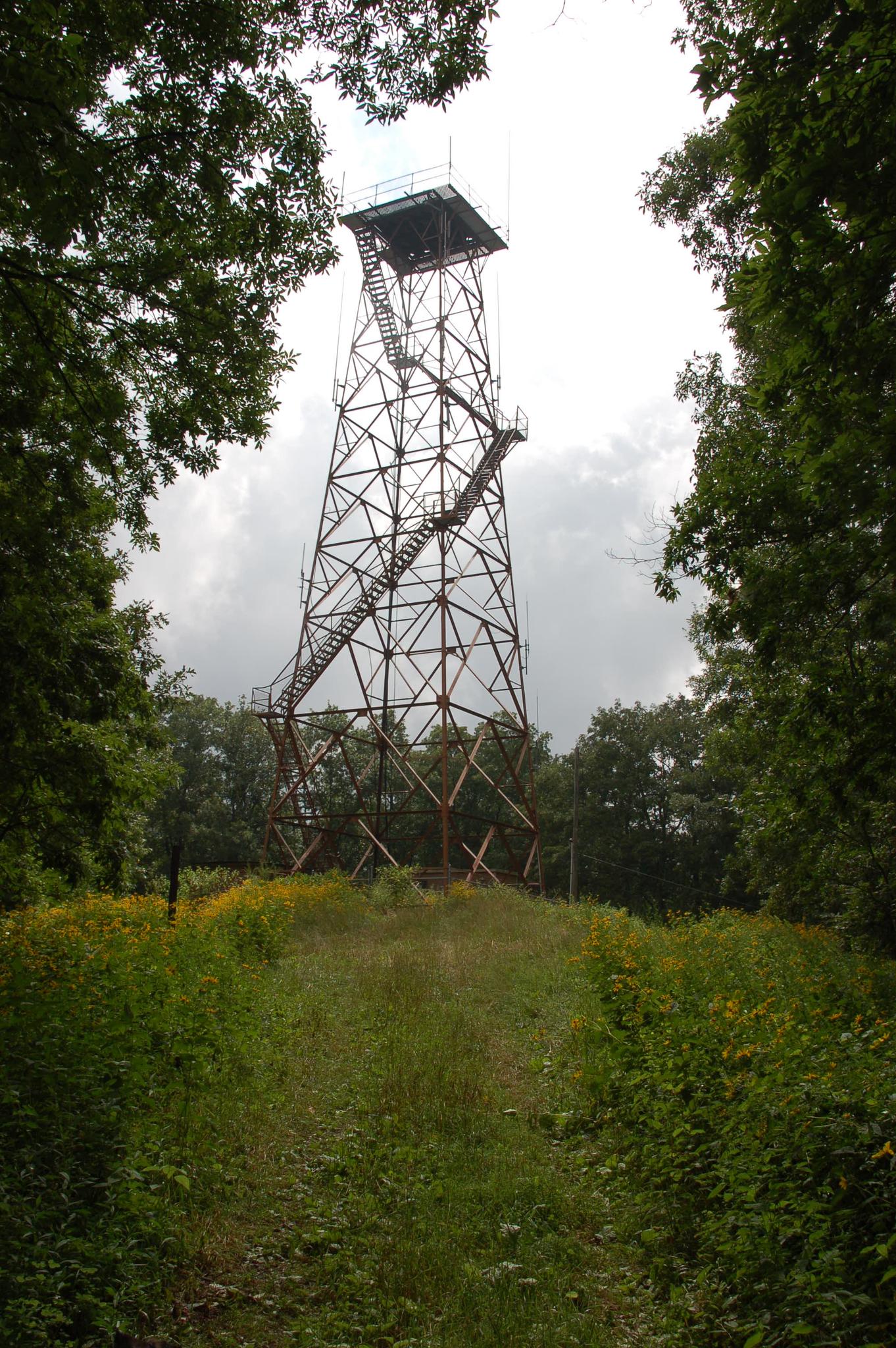 Metal lookout tower with stairs, surrounded by green trees and a grassy path.