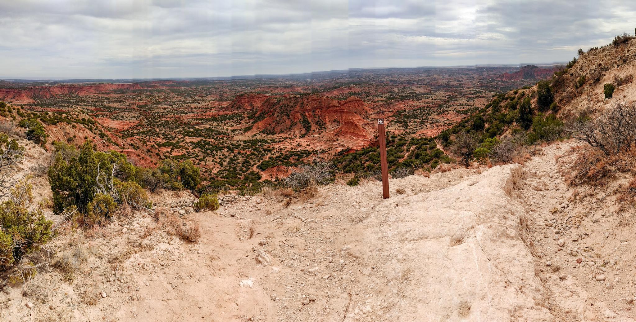 Vast arid canyon with red rock formations and sparse vegetation under cloudy sky.
