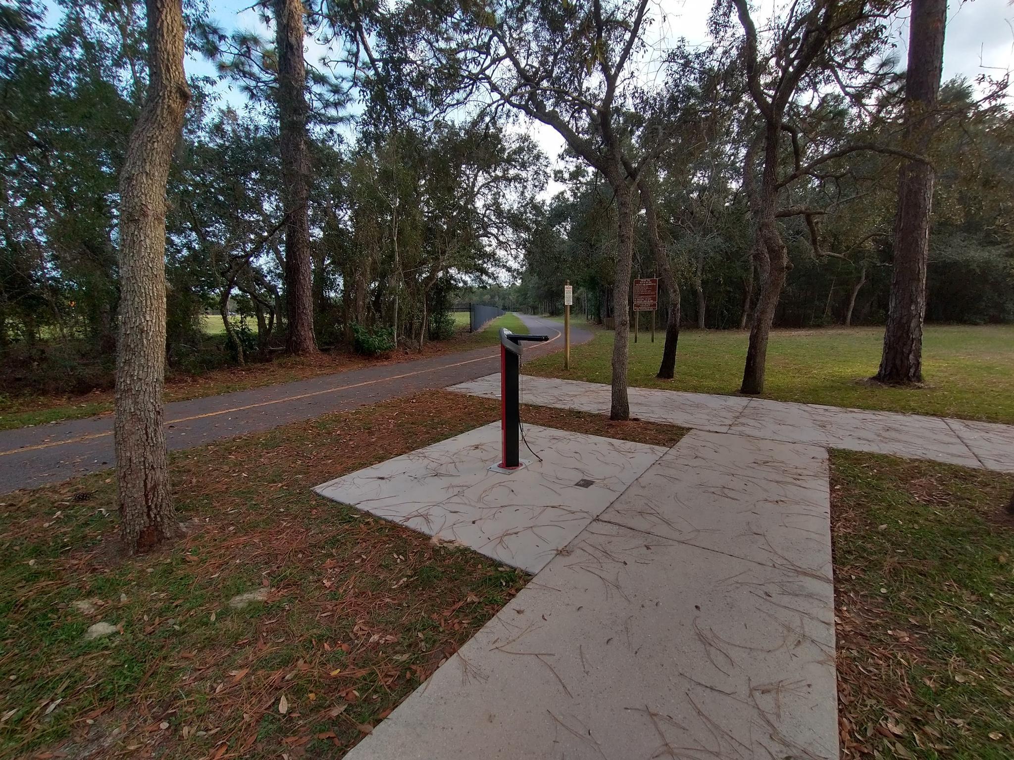 Paved path and sidewalk intersect among tall trees in dappled light.
