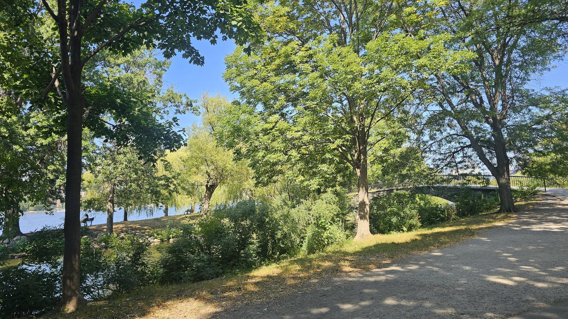A dirt path next to a lake, shaded by lush green trees, with a distant stone bridge.