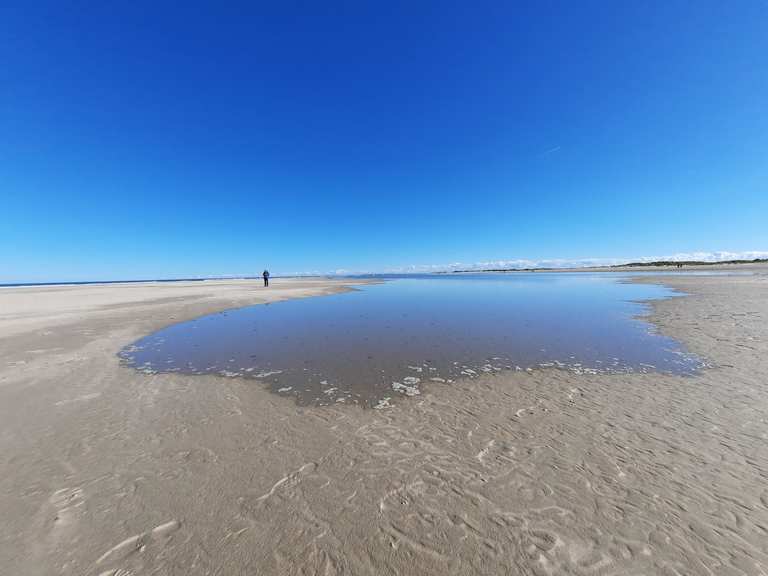 Spiekerooger Strand: Wanderungen und Rundwege | komoot