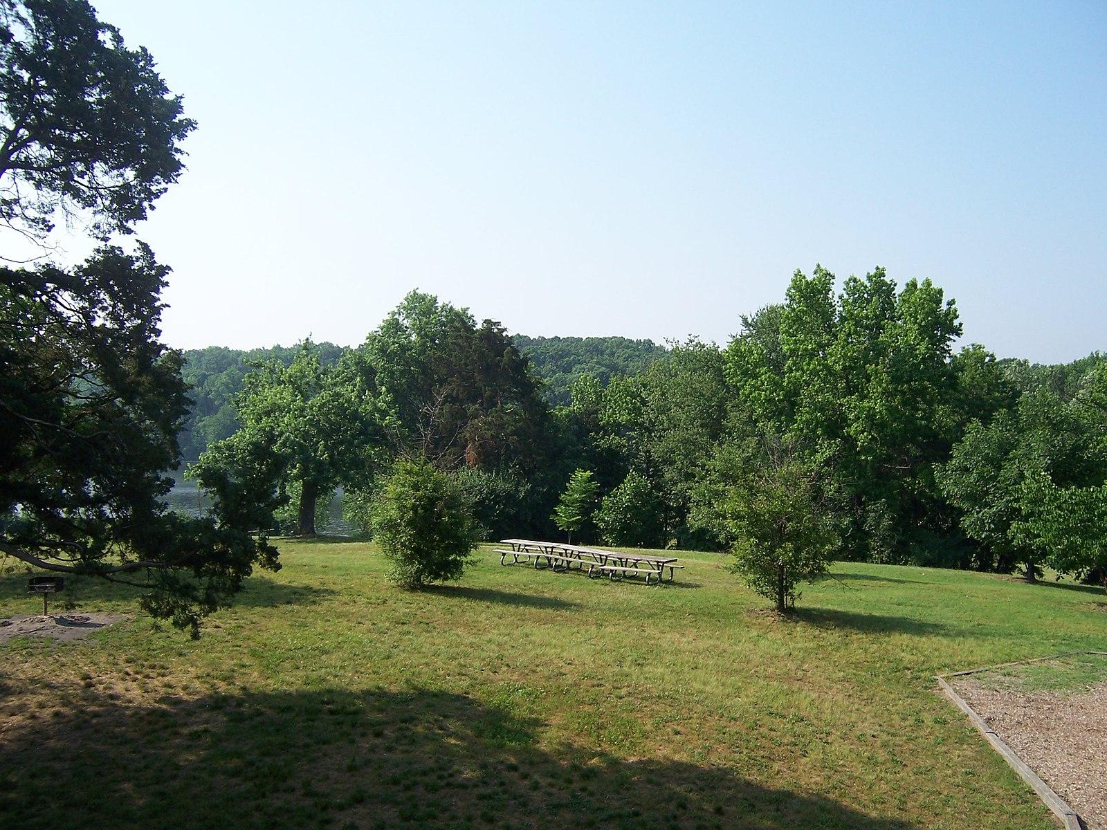 Bright day over a grassy field with picnic tables and distant trees.