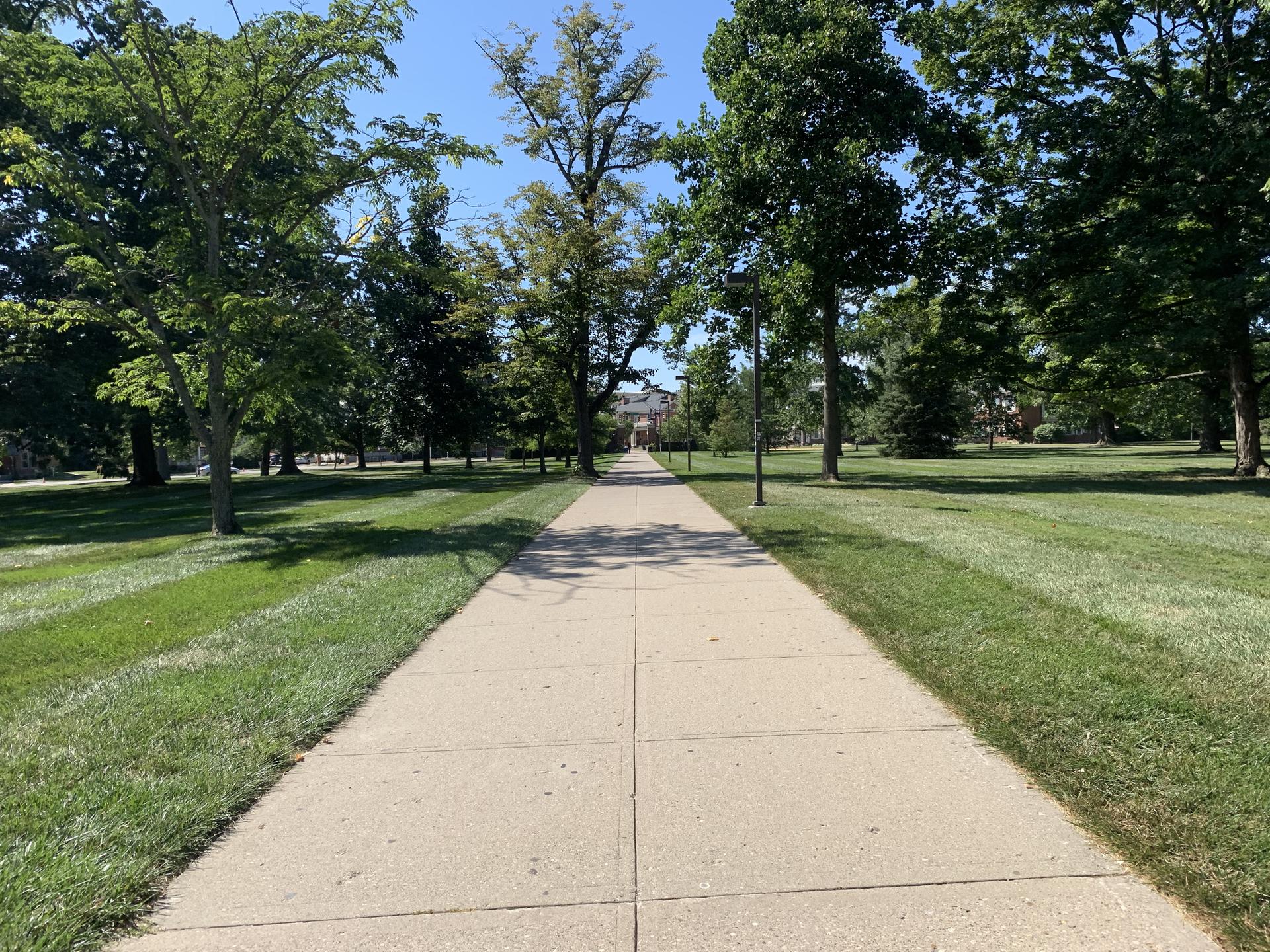 A long concrete path extends through a sunny park with green grass and tall trees.