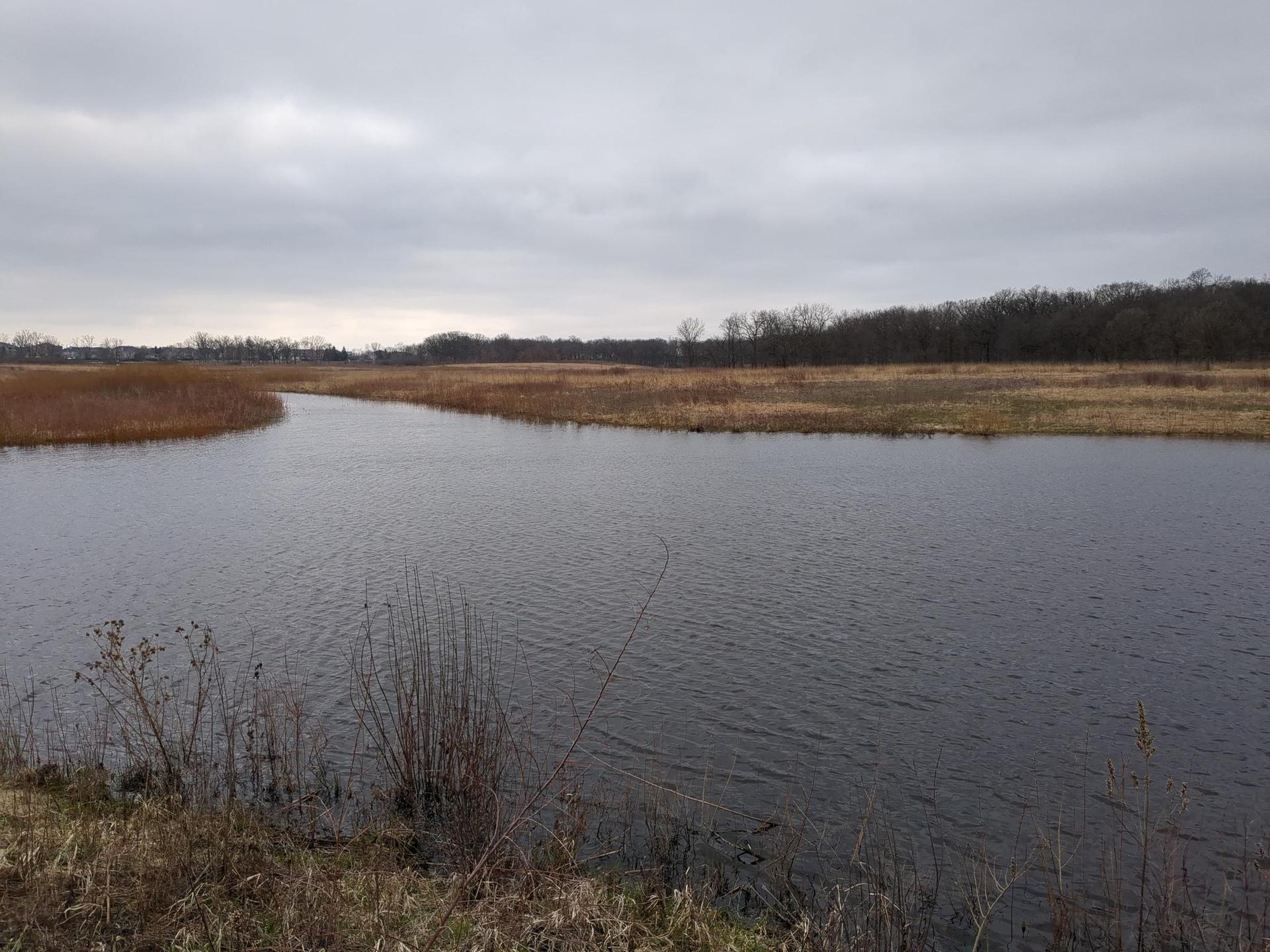 A wide river flows through a marshy landscape under a cloudy sky.