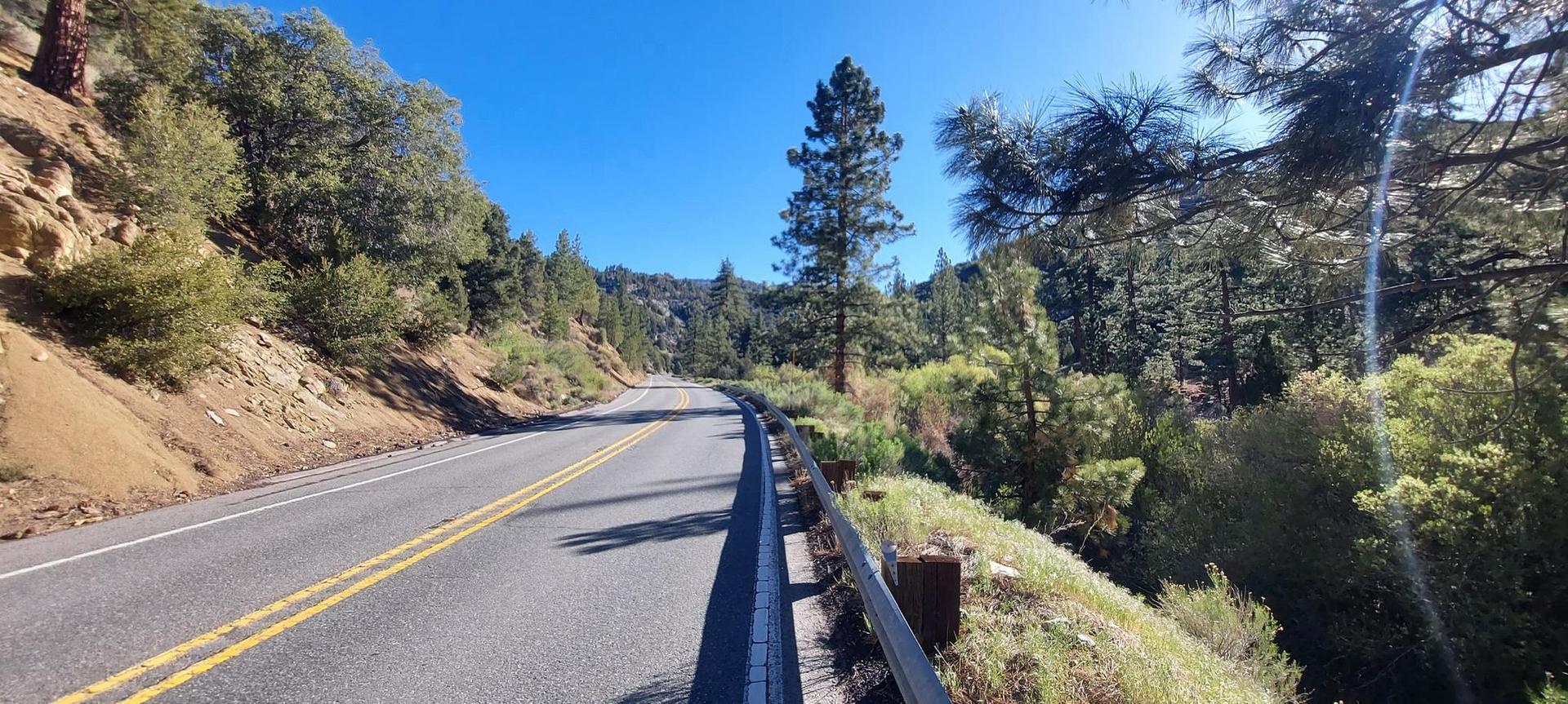 Winding mountain road with a guardrail, surrounded by green trees, bright sun.