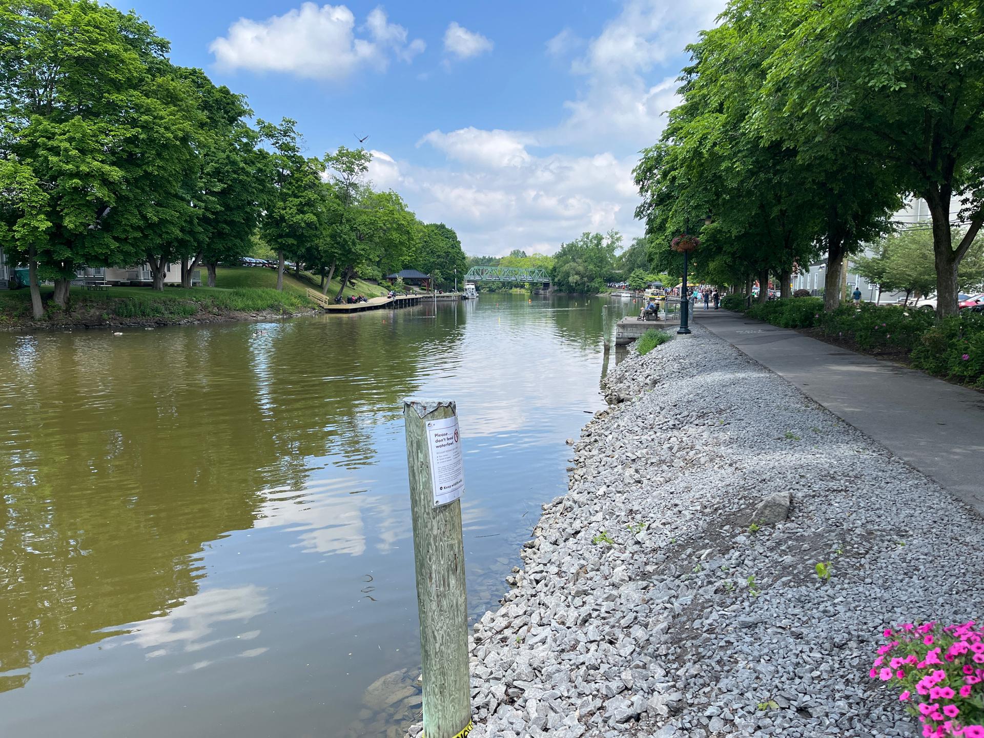 River with a paved path, gravel bank, and lush green trees under a blue sky.