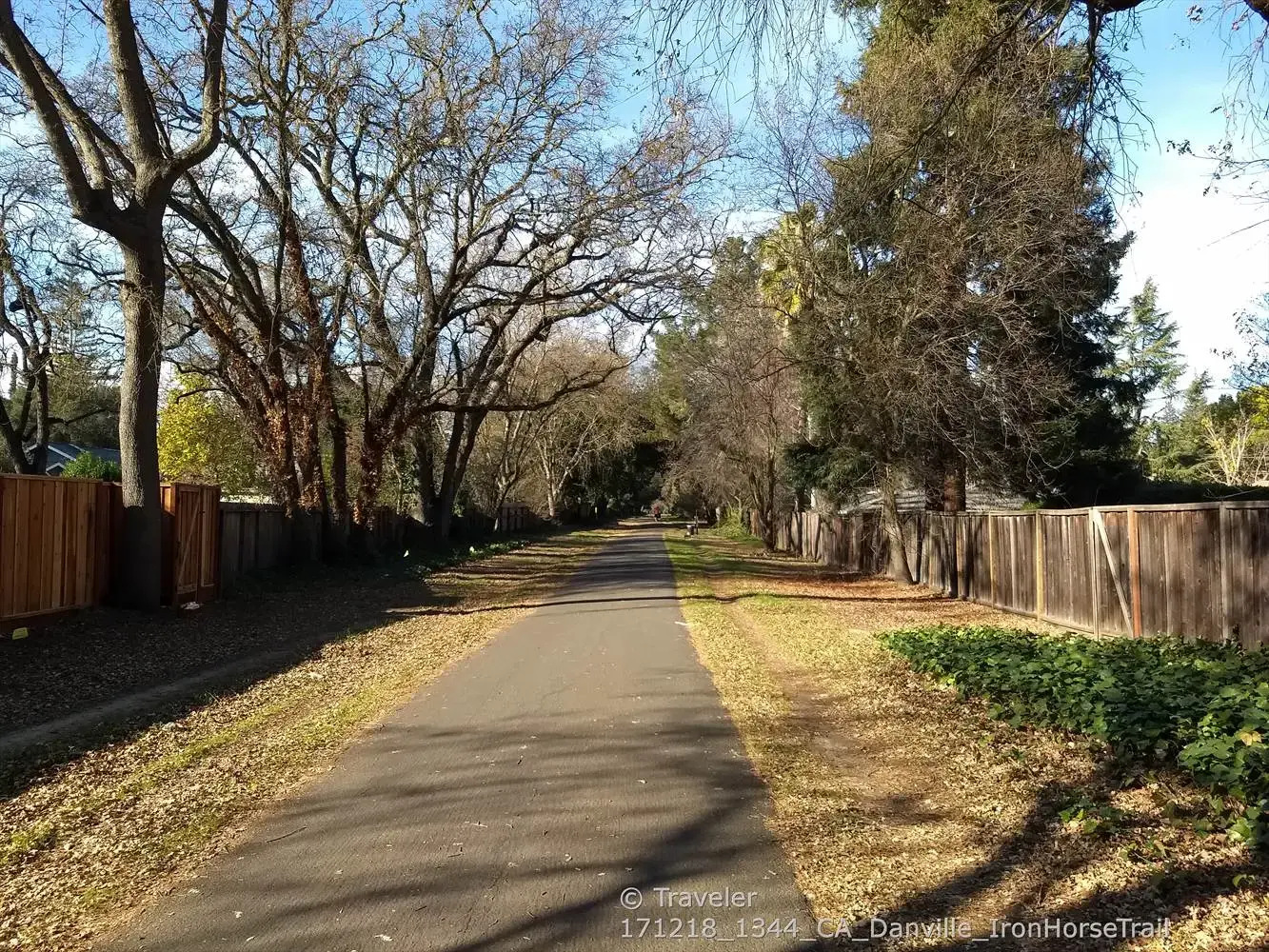 A paved path lined with bare trees and wooden fences on a sunny day.