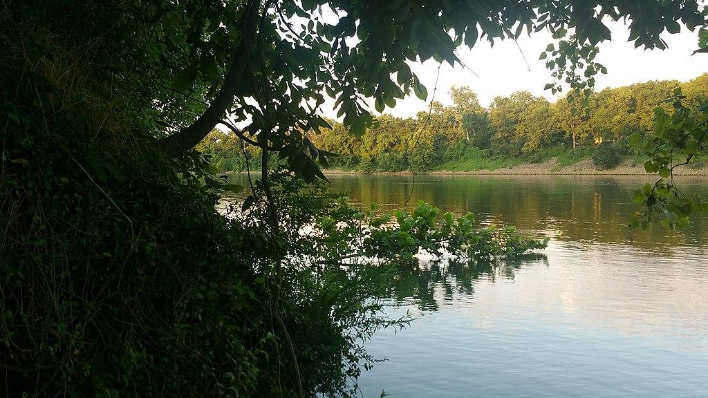 Serene river with dense green foliage overhanging, reflecting trees.