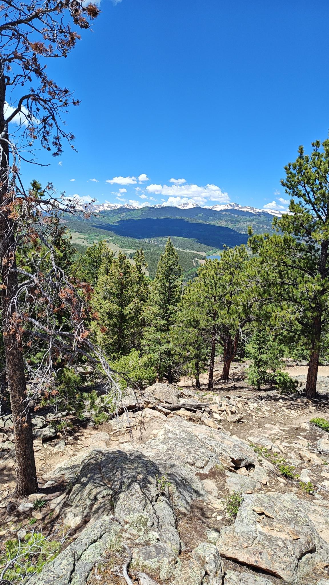 Sunny mountain view with pine trees, rocky foreground, and distant peaks.