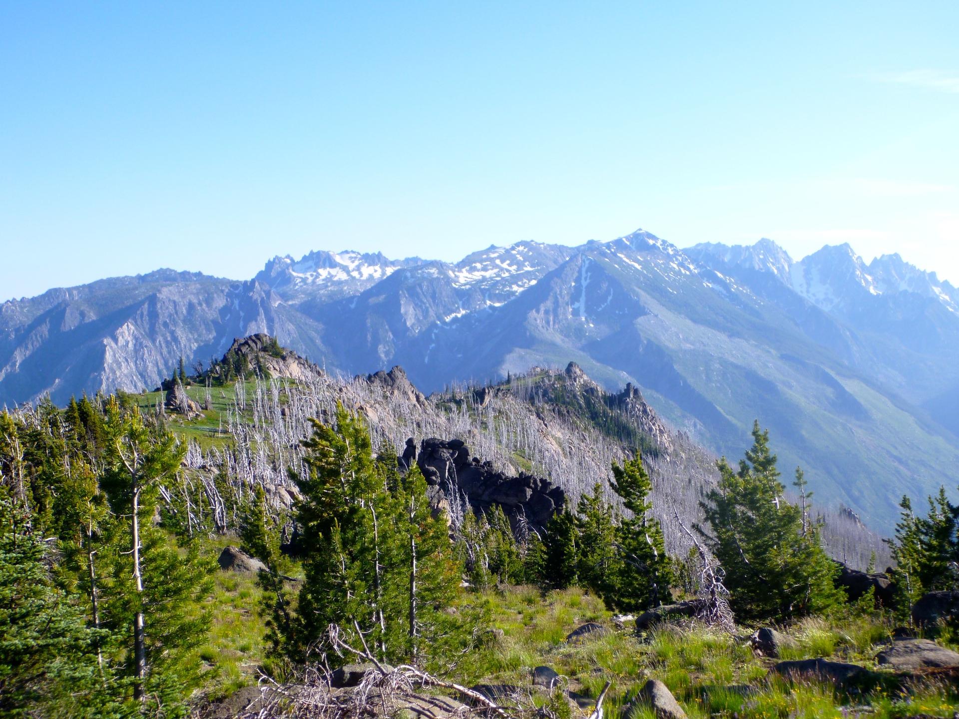 Bright, sunny mountain landscape with forested ridges, dead trees, and distant peaks.