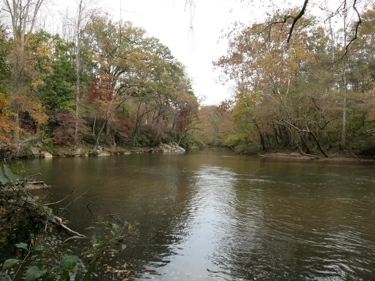 A wide river flows through a forest with trees showing early autumn colors.
