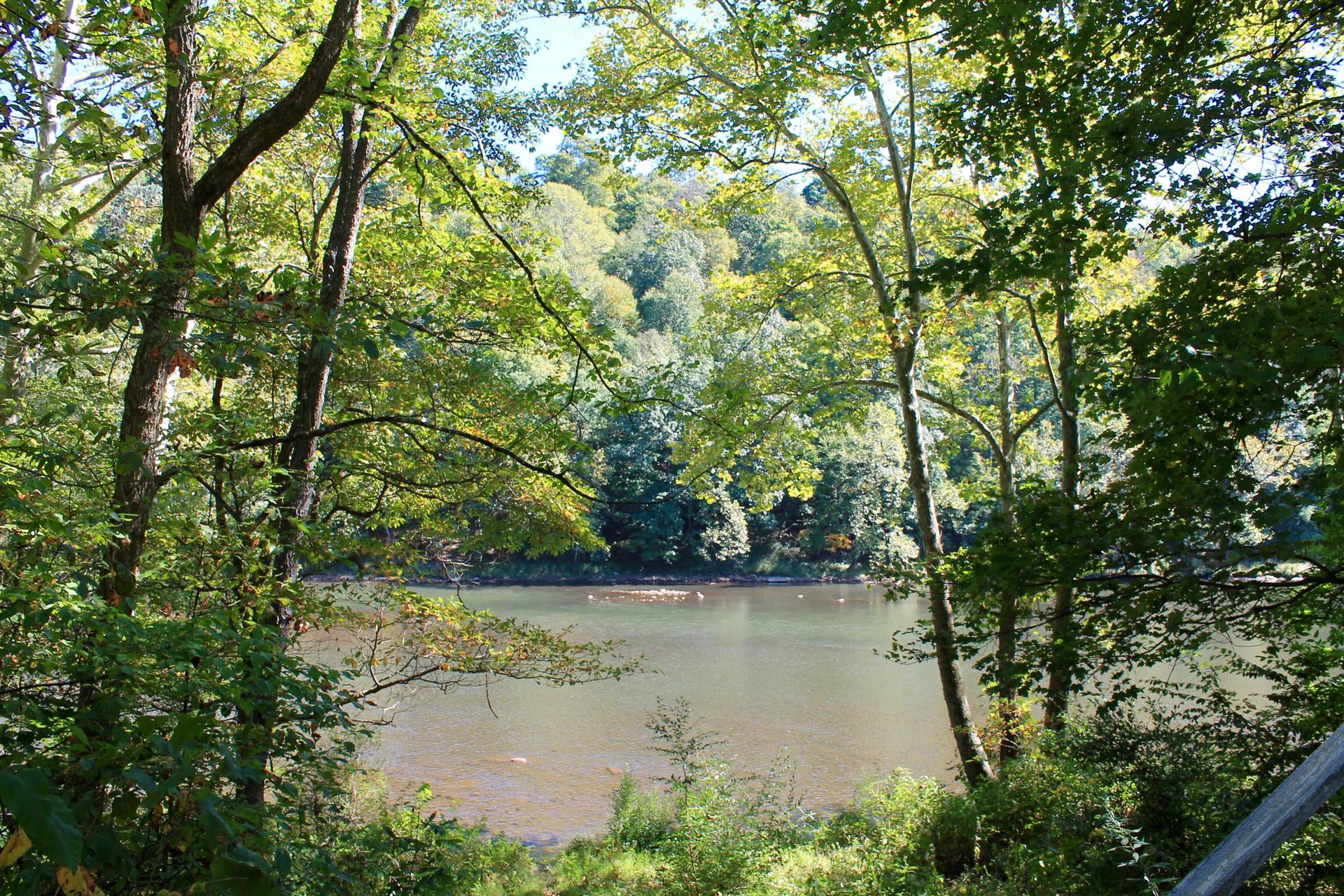 Lush green trees frame a calm body of water under bright daylight.