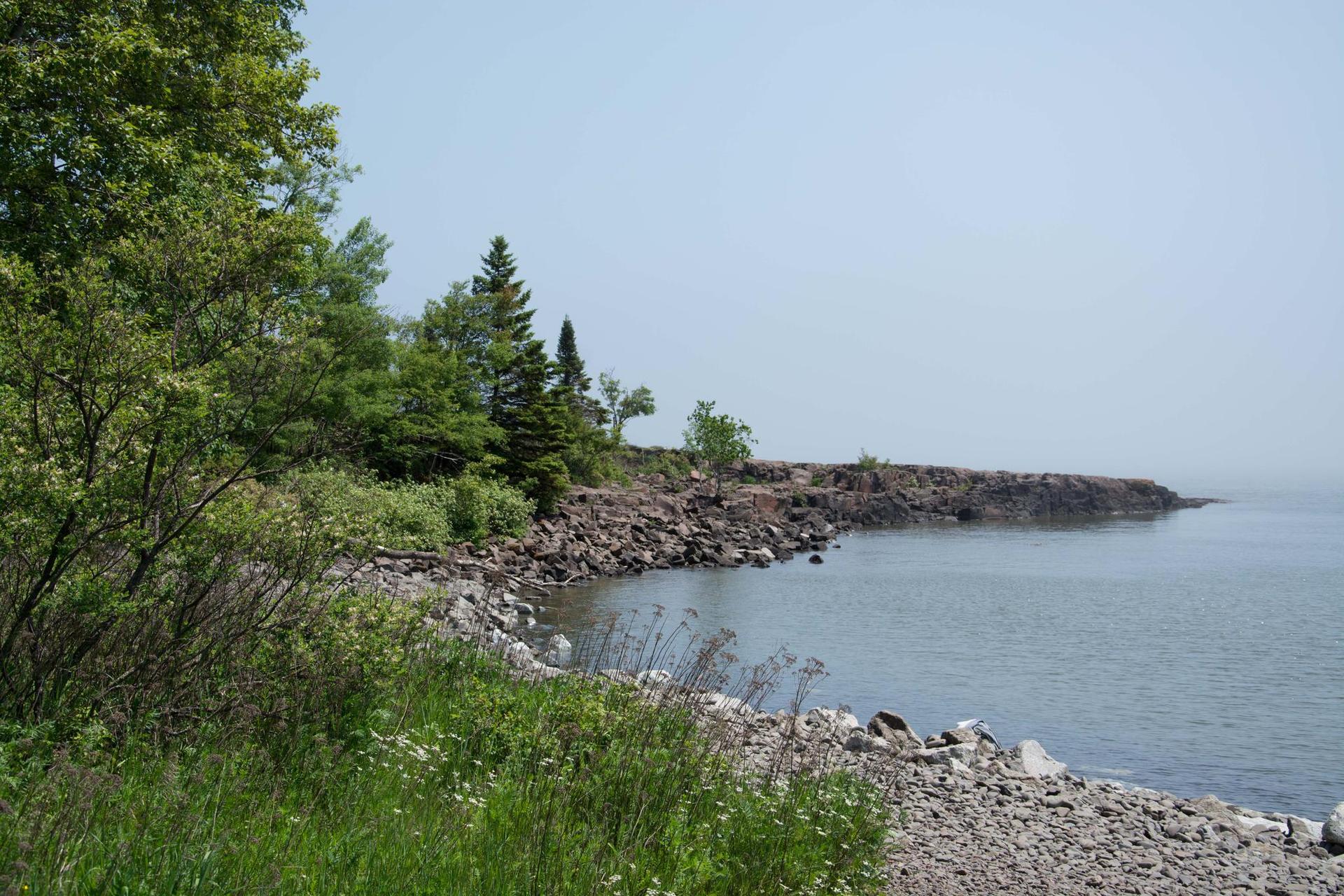 A rocky shoreline with green trees meets calm water on a bright day.