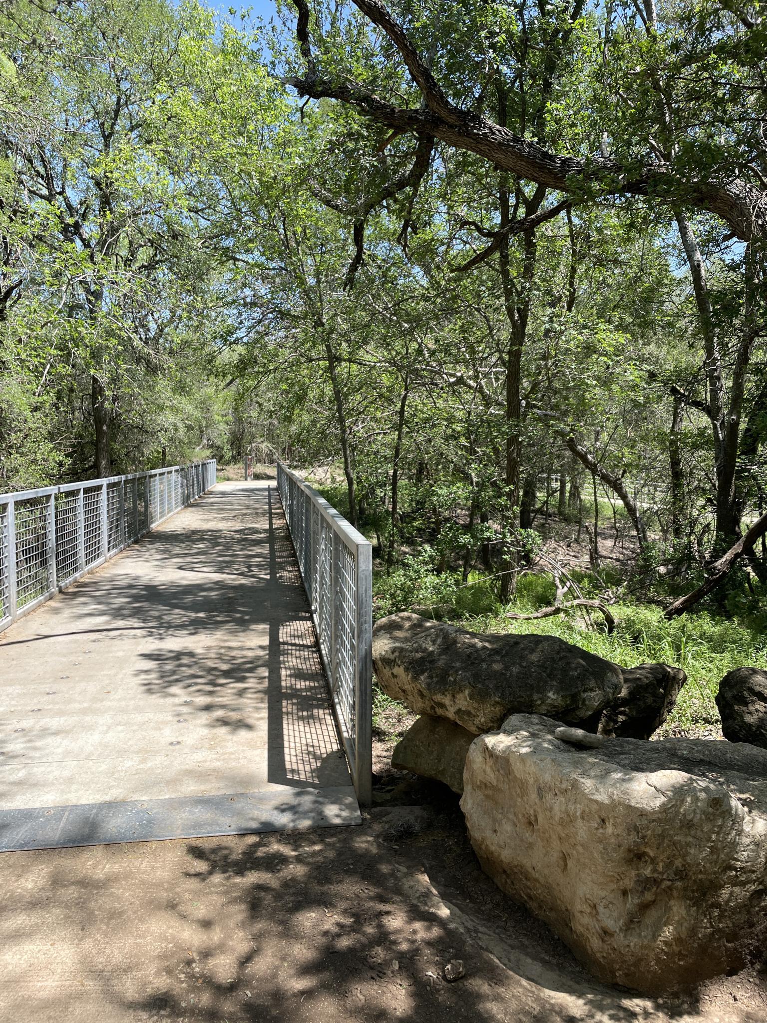 Concrete bridge with metal railings through a lush green forest.