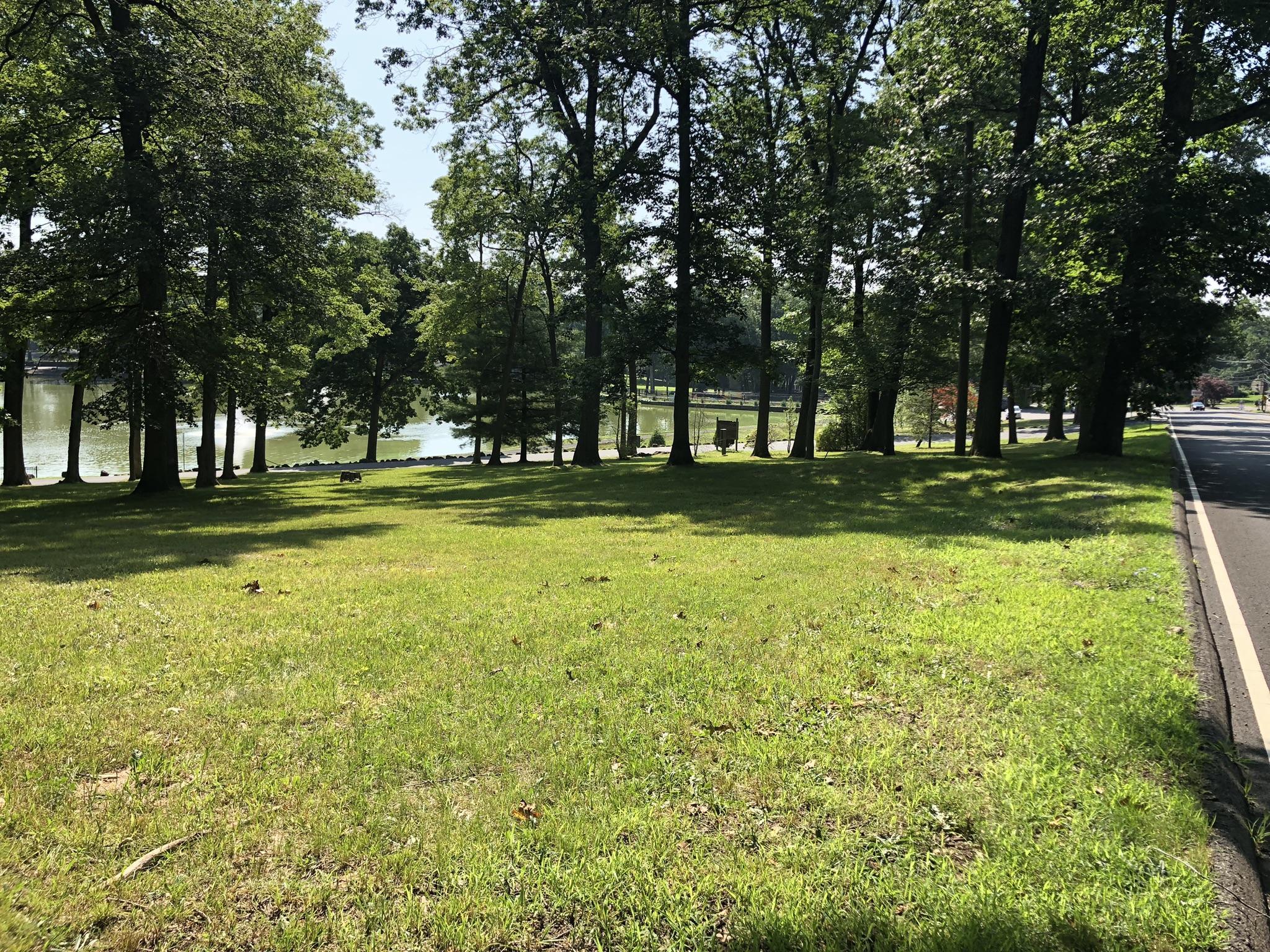Sunny grassy field next to a road, with trees bordering a calm lake.