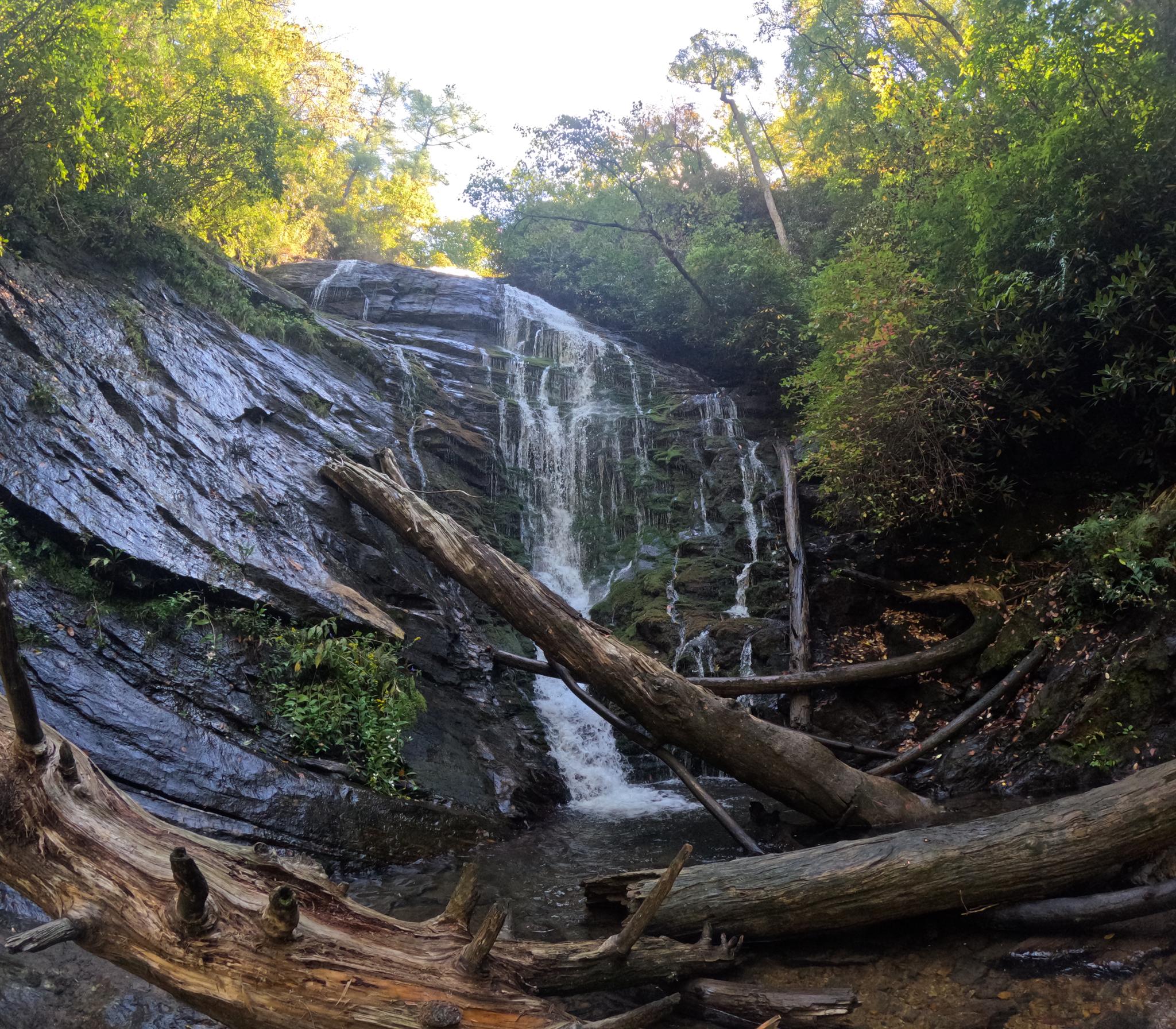 Sunlight illuminates a waterfall flowing over dark rocks with many fallen logs.