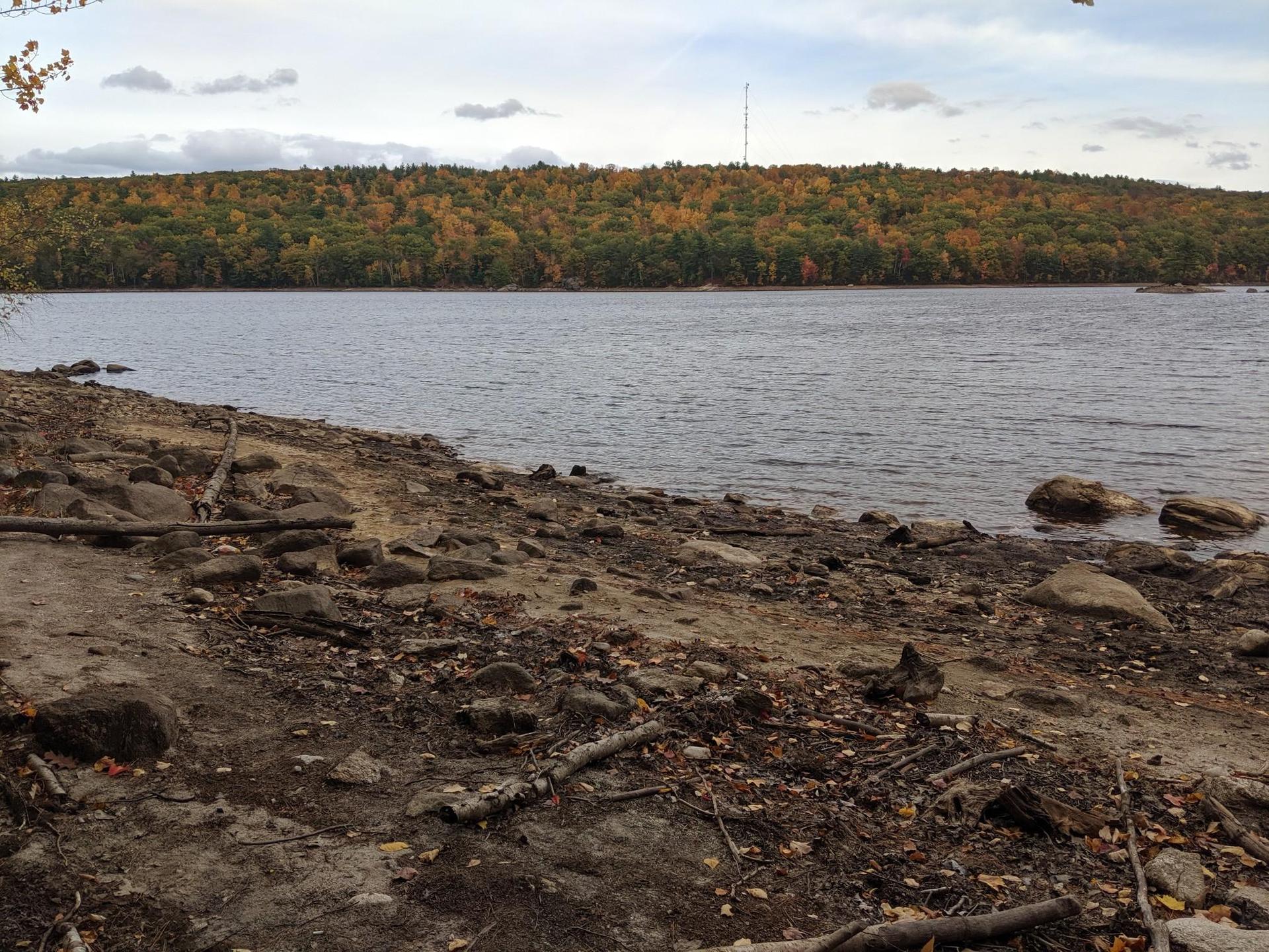 A rocky, muddy lake shore with autumn trees under a cloudy sky.