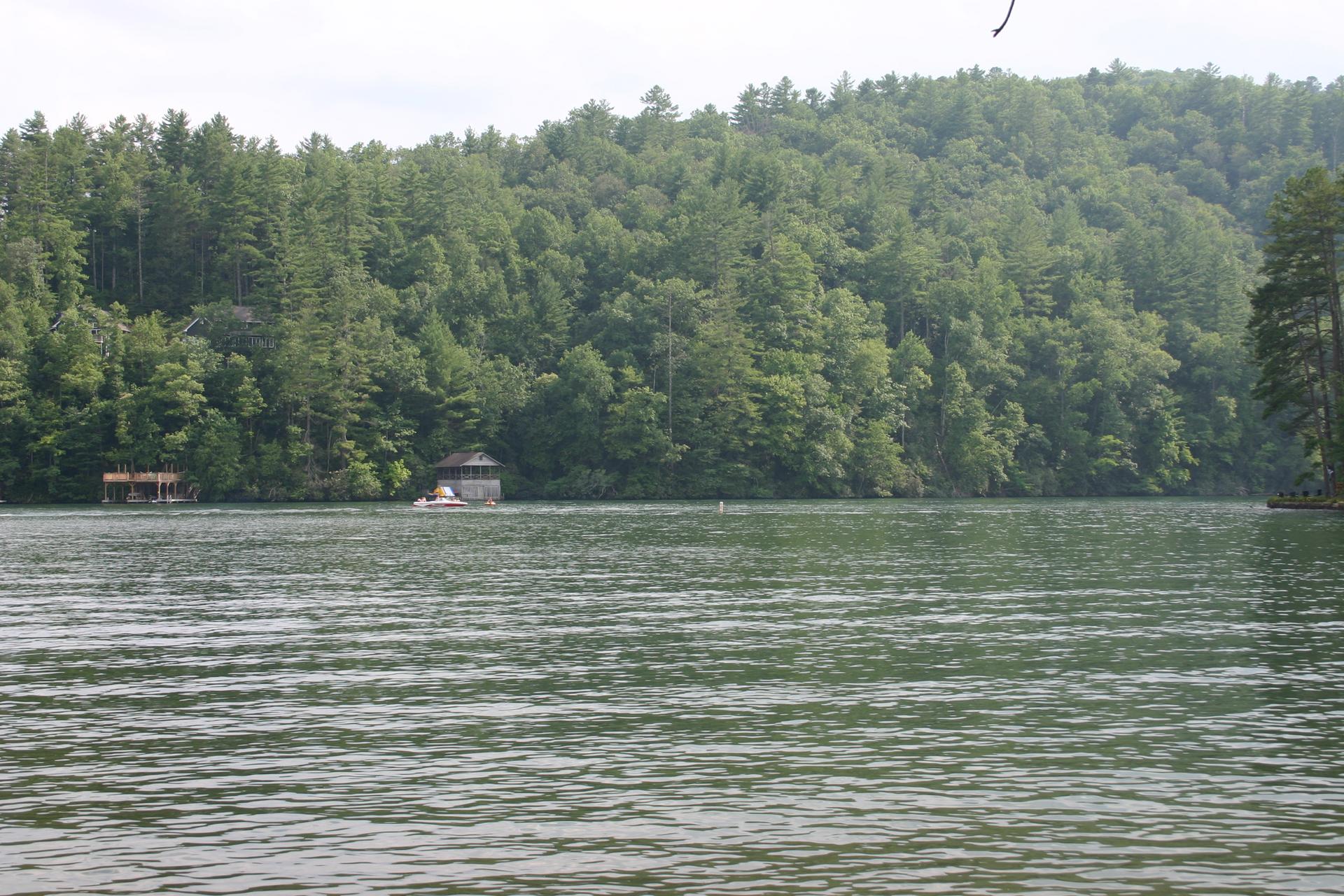 Calm lake with dense green forest and small boathouses under an overcast sky.