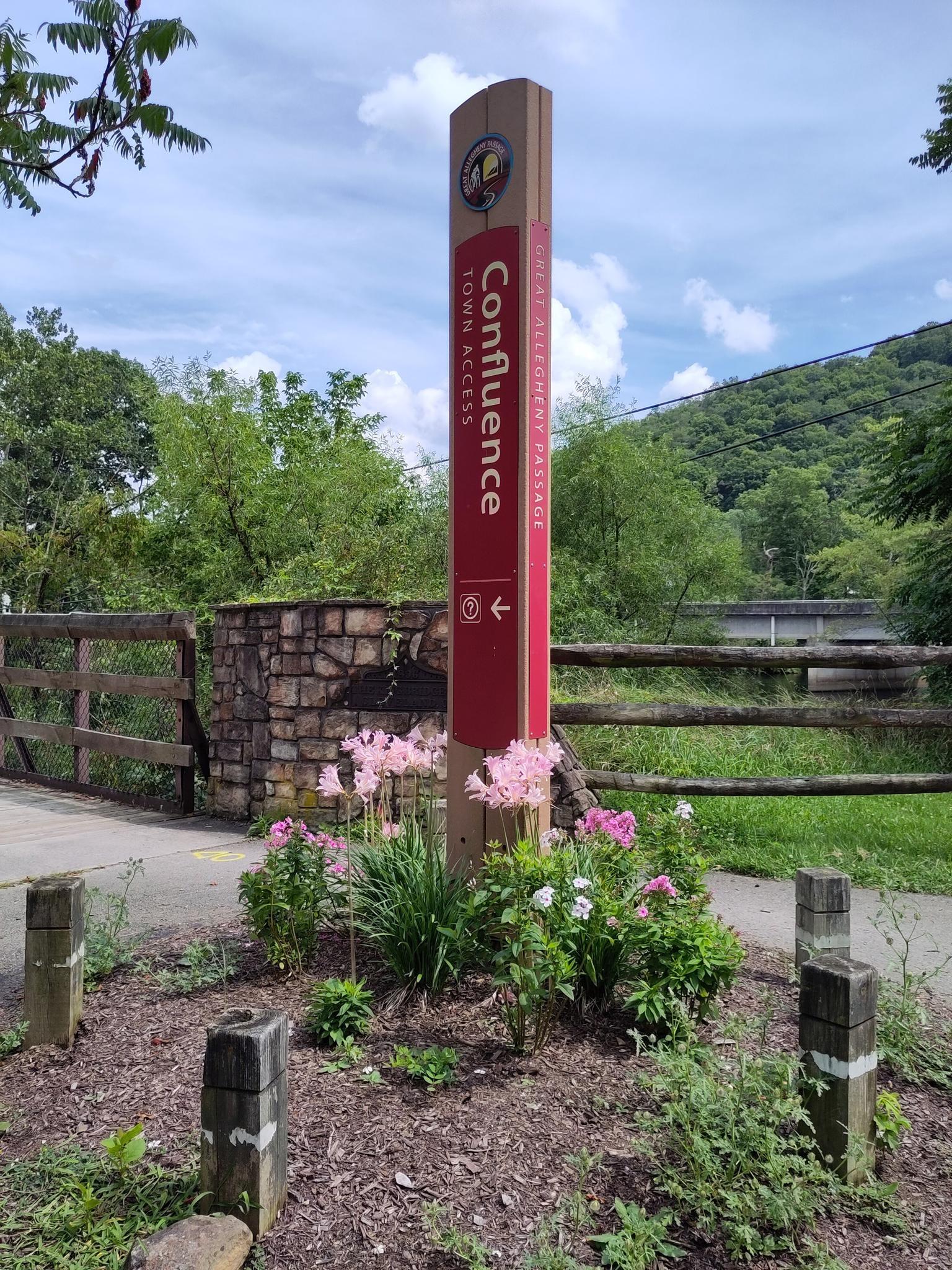 A tall wooden sign stands amidst flowers on a bright, sunny day.