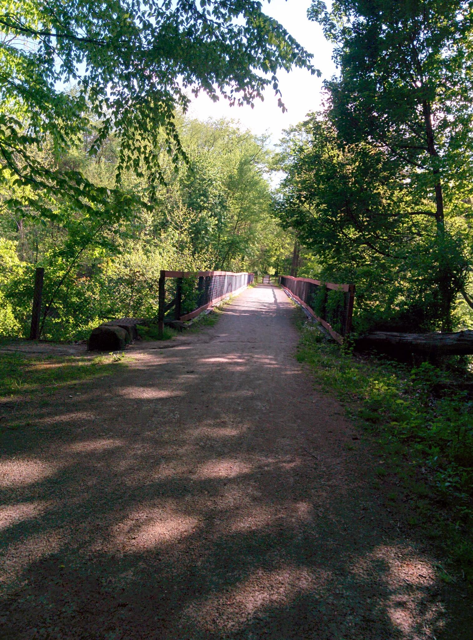 A sunlit dirt path leads to a wooden bridge through dense green forest.