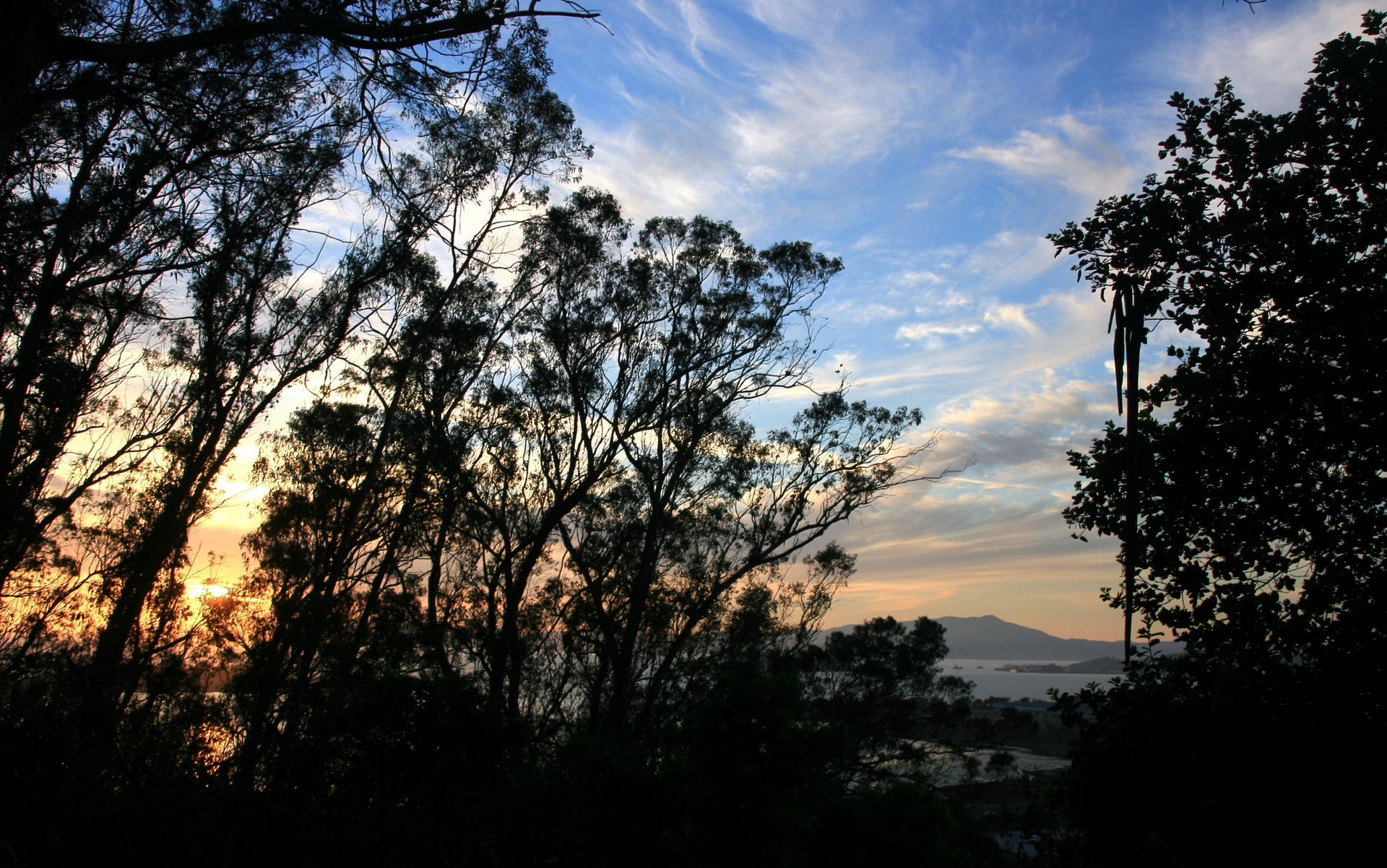 Silhouetted trees frame a vibrant sunset sky over distant mountains and water.