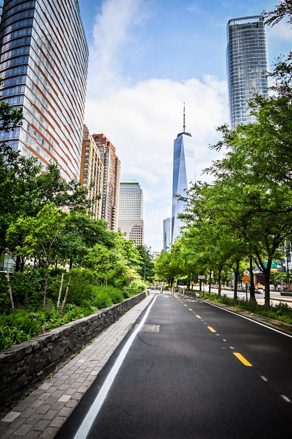 Empty city street lined with green trees and tall buildings under blue sky.