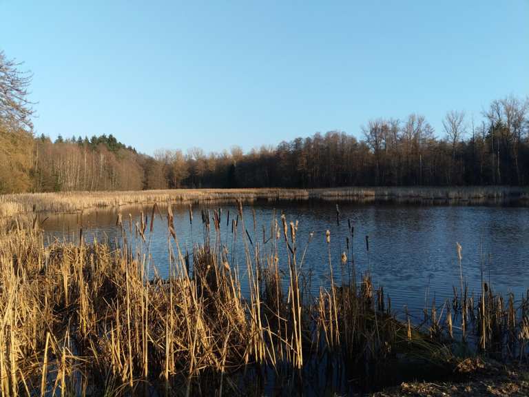 Froschgrün Teiche MountainbikeTouren und Trails komoot