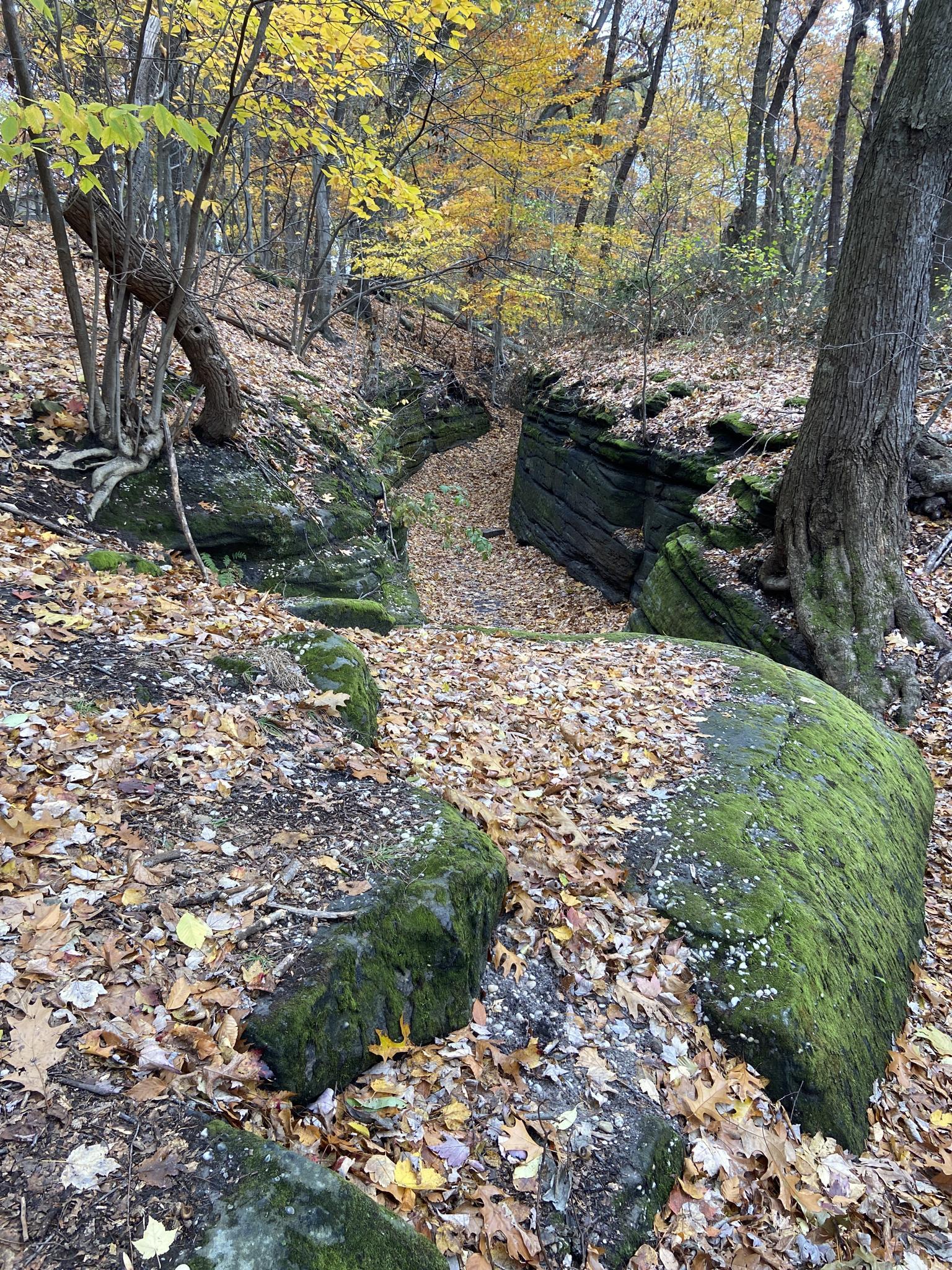 Narrow rocky gorge in an autumn forest with mossy boulders and yellow leaves.