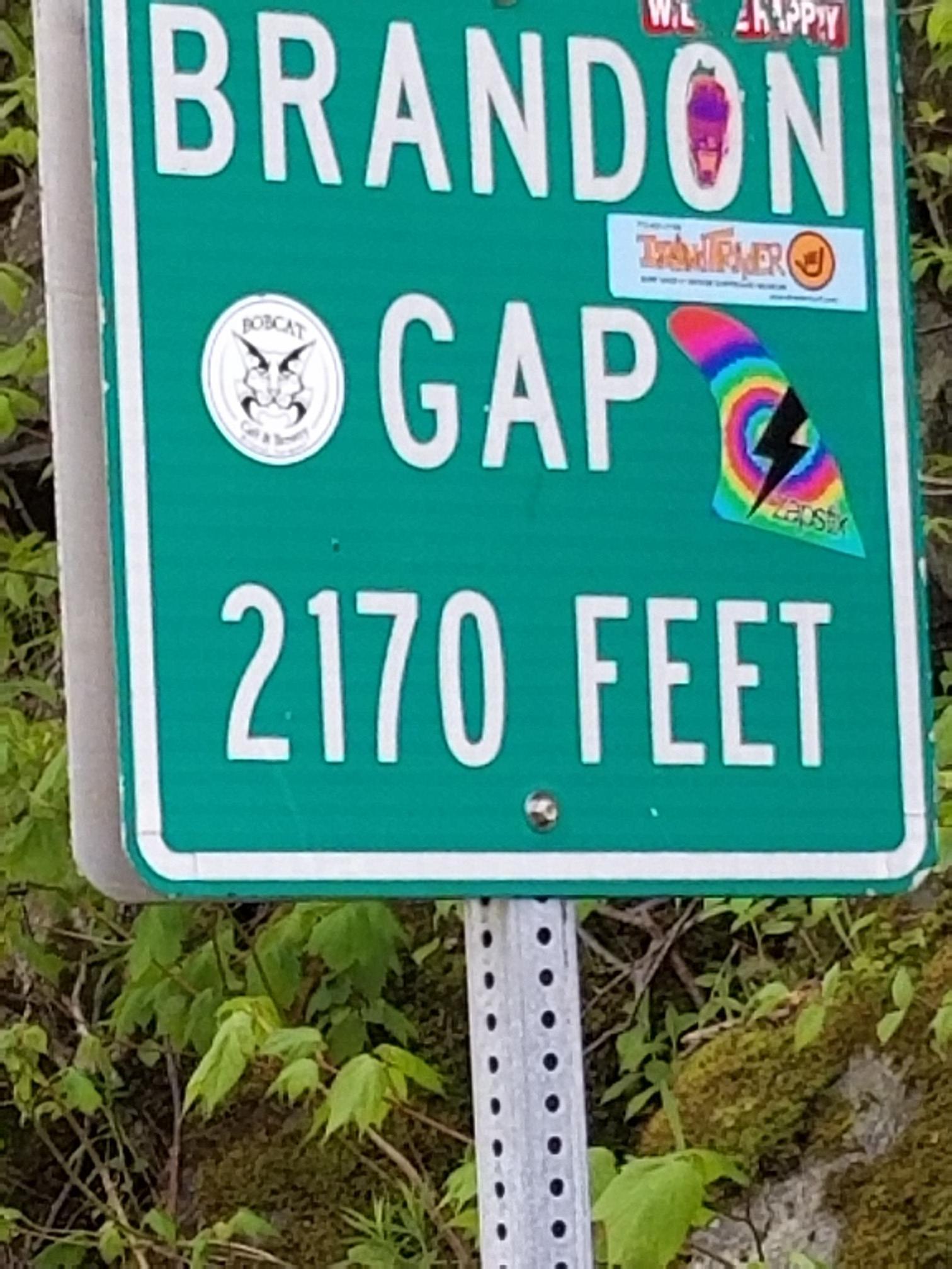A green road sign with white text and colorful stickers, surrounded by foliage.