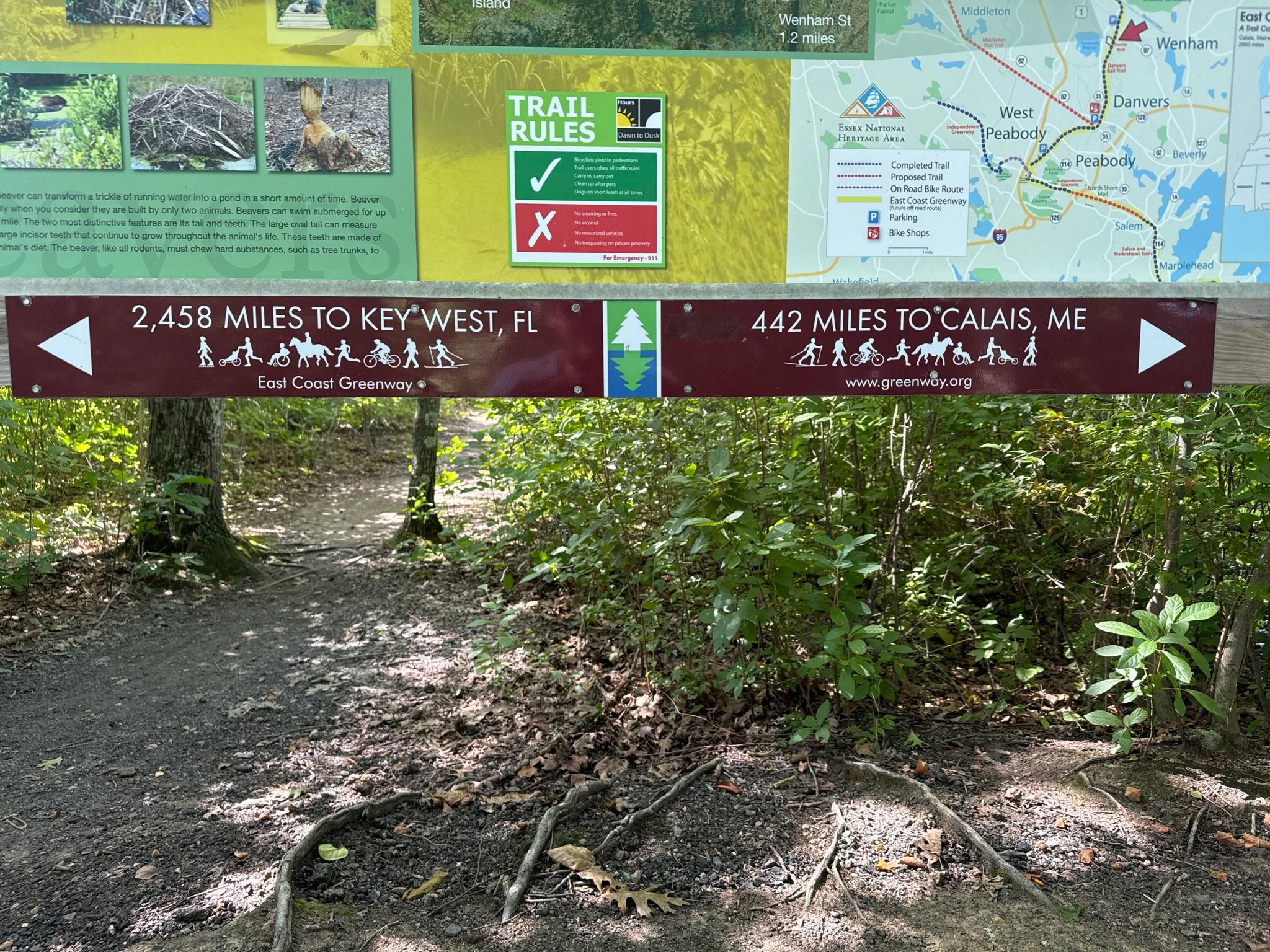 A large trail sign marks distances over a sun-dappled forest path. - Danvers Rail Trail