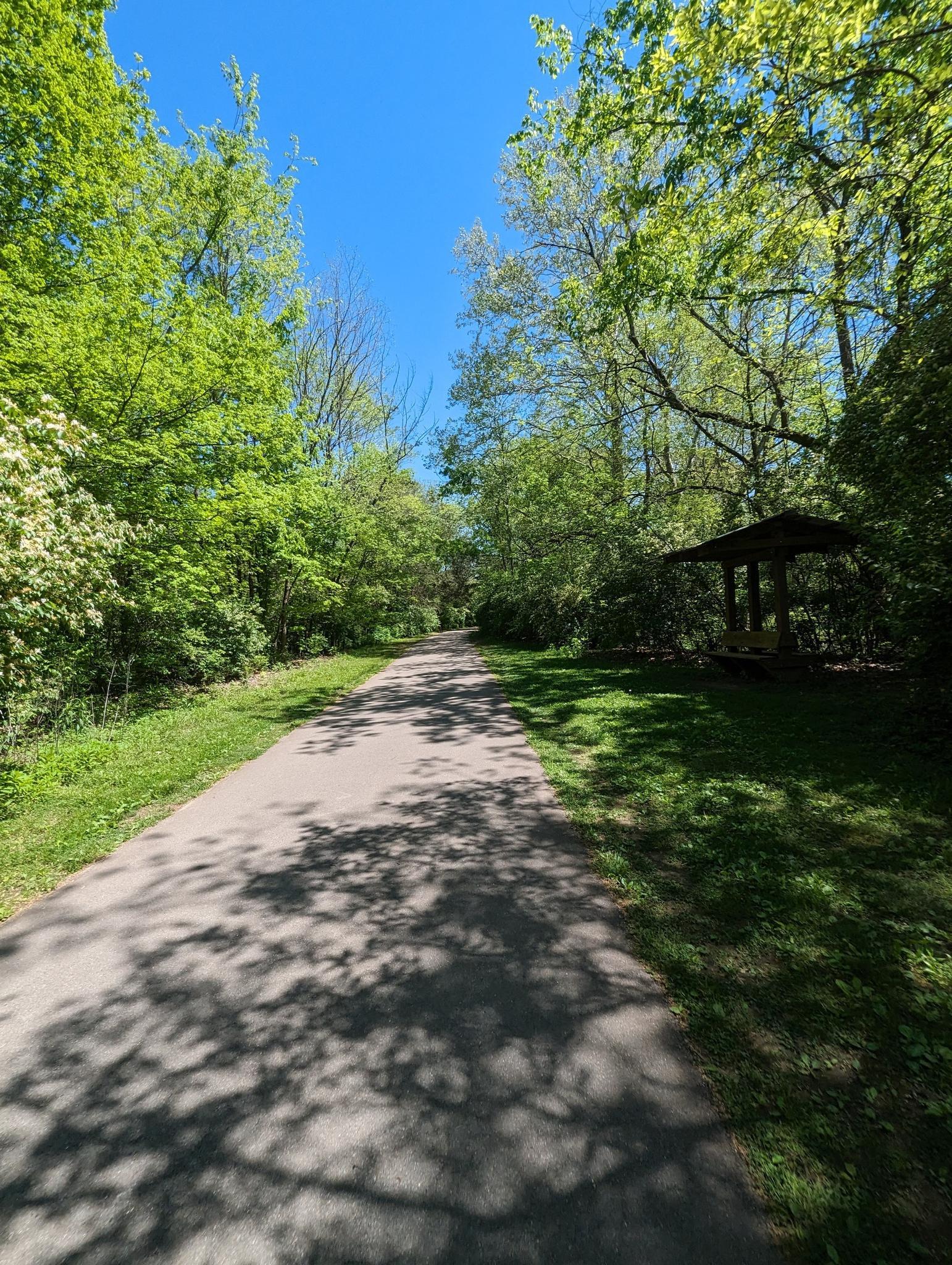 Paved path through vibrant green trees with a gazebo under bright sun.