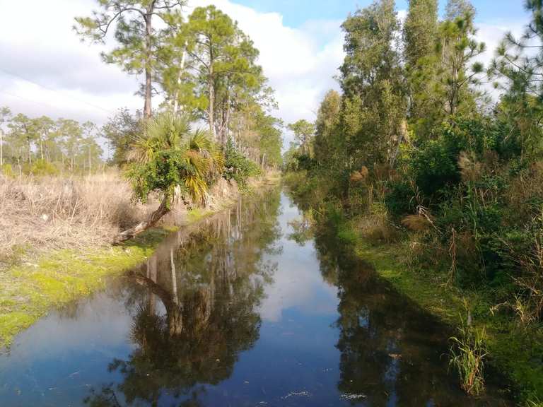 Prairie Pines Preserve – Hikes & How to Get There | Komoot