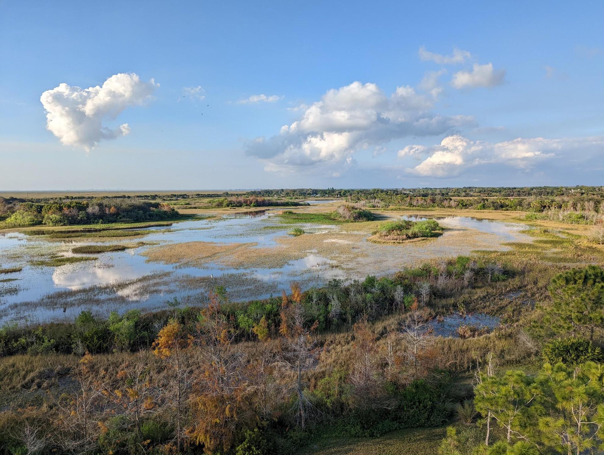 An aerial view of a vast wetland with water, trees, and a cloudy blue sky.