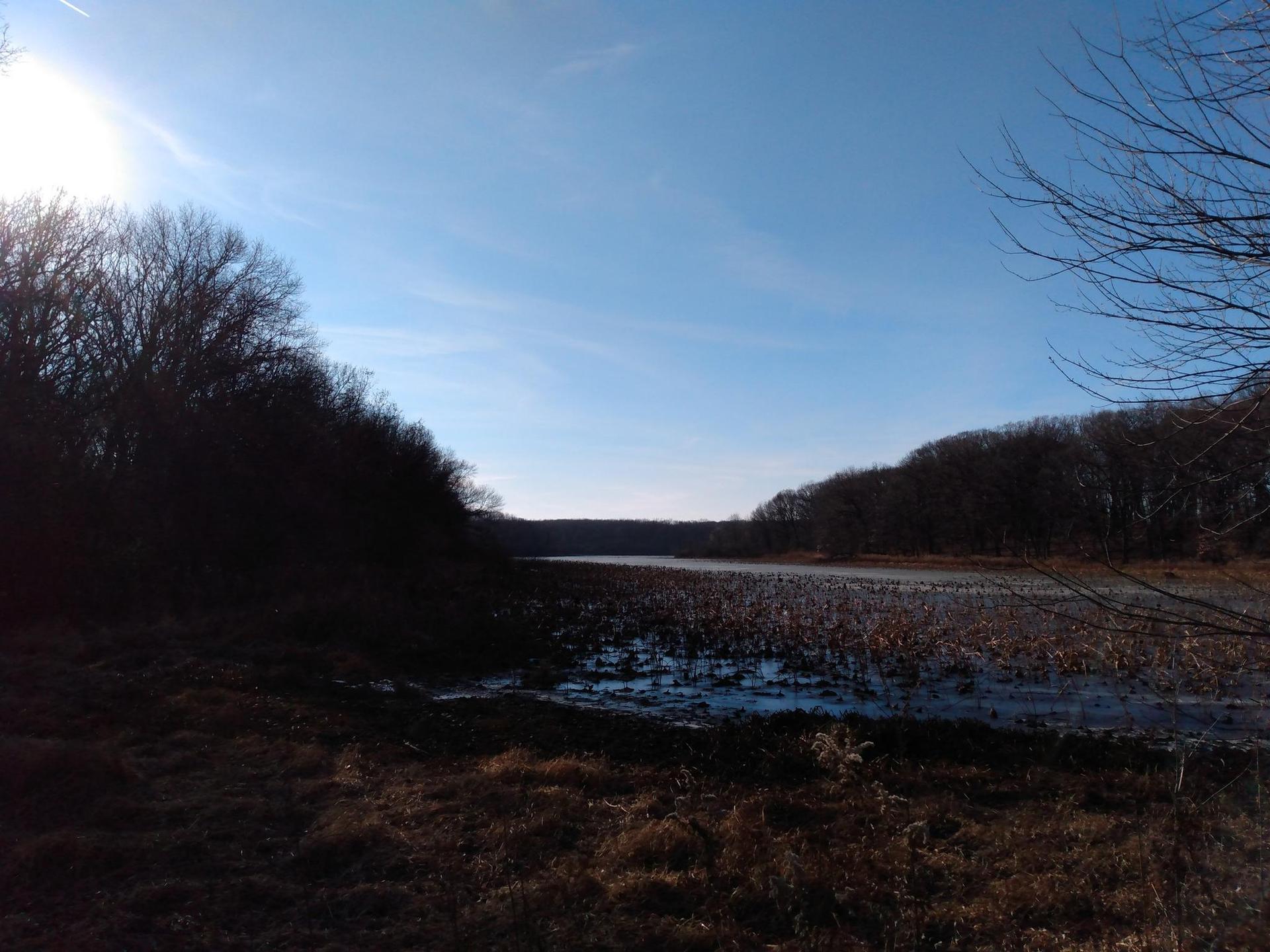 Dark trees frame a partially frozen lake under a bright, hazy sky.