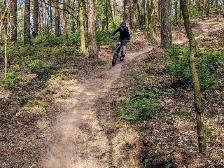 tunnelzelt hochbett HI SUYI Kinder-Hochbett für 90-100 cm Breite Etagenzelt, Stoff, blau, Einzelbett Küche, Haushalt & Wohnen hinterbauständer fahrrad GEAR LUBE PUMP:NO PUMP Fahrradsattel einstellen | Fahrrad