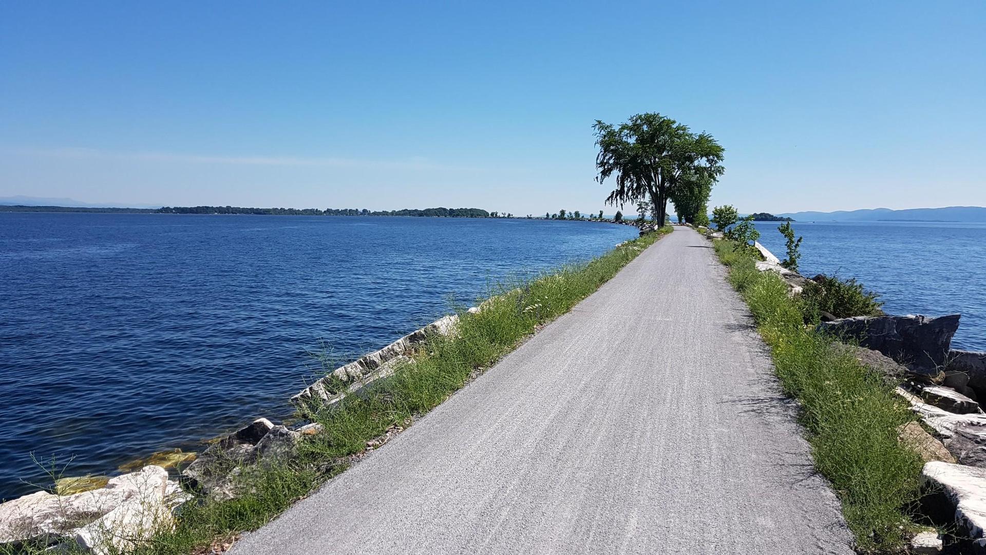 A long gravel path extending into a lake, lined with trees and rocks.